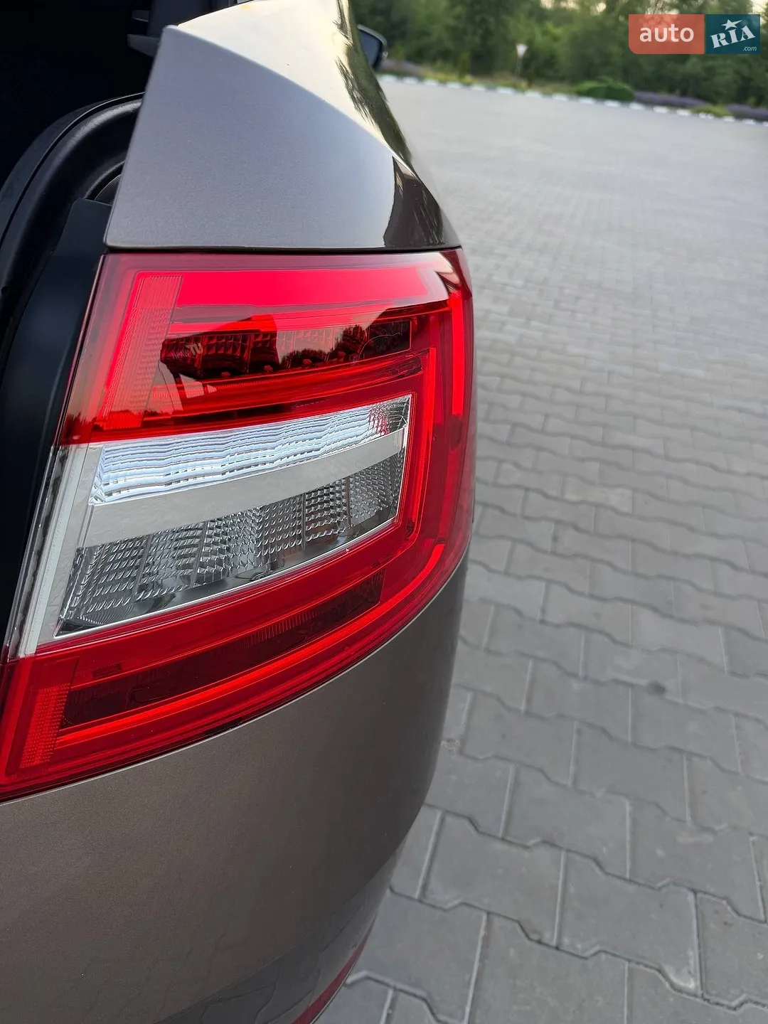 2019 Skoda Octavia - фото 1