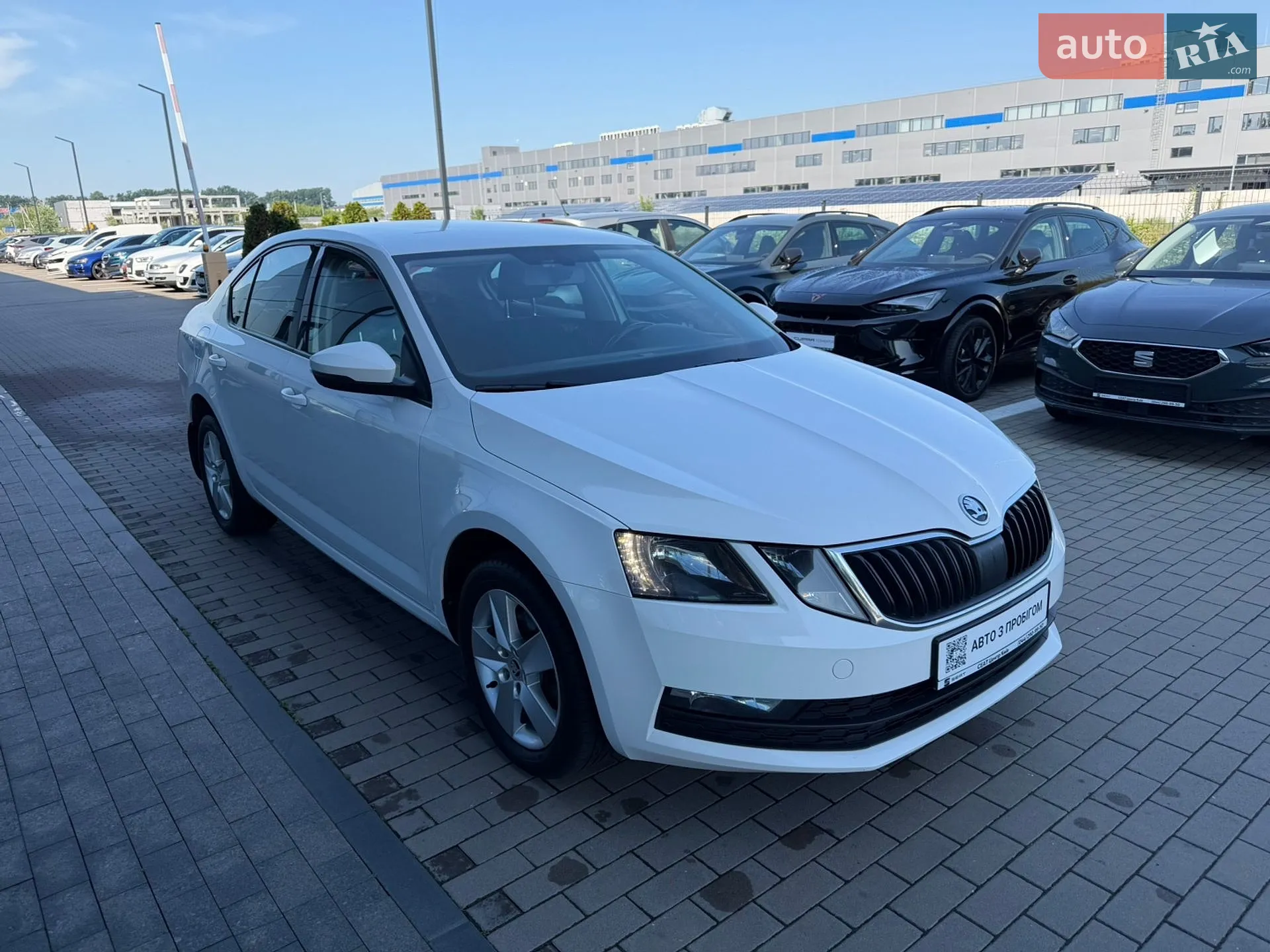 2019 Skoda Octavia - мініатюра 4