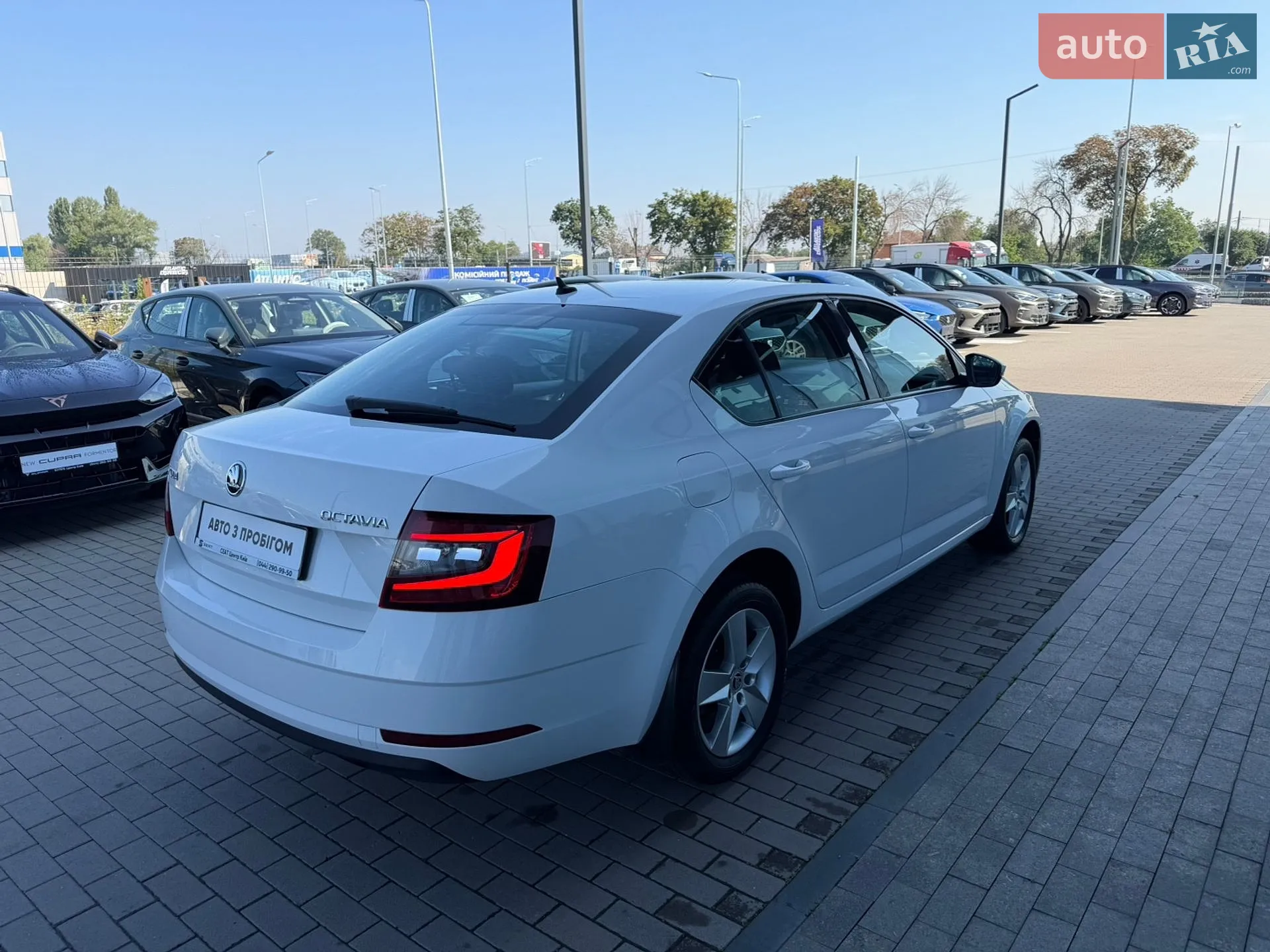 2019 Skoda Octavia - мініатюра 11