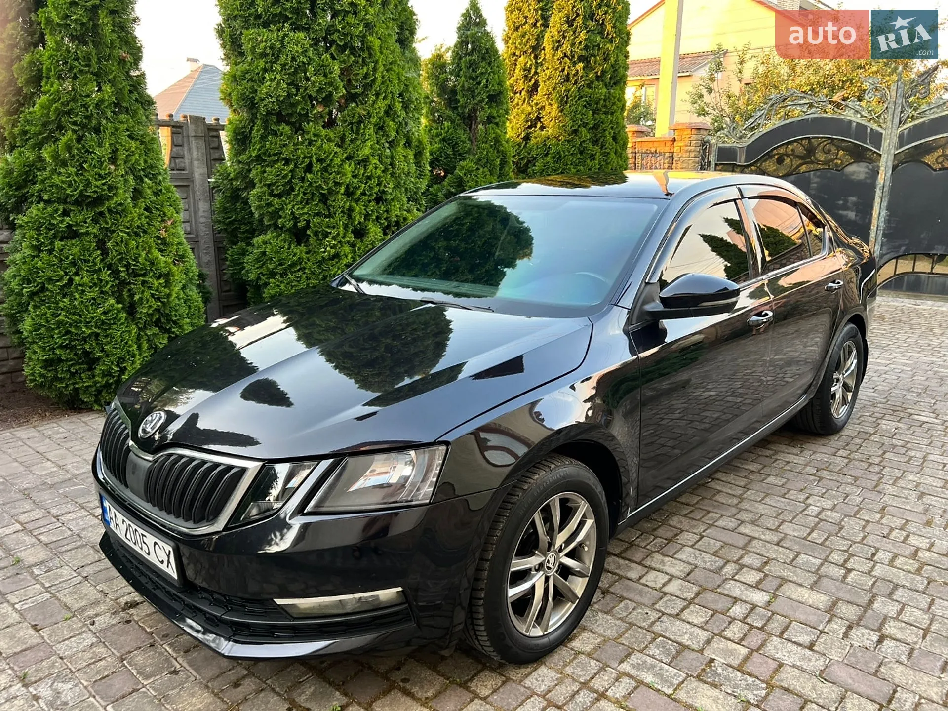 2019 Skoda Octavia - фото 1