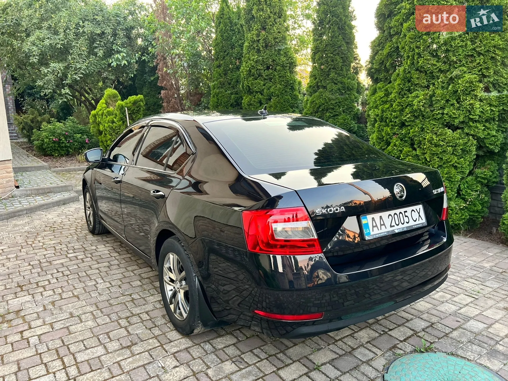 2019 Skoda Octavia - мініатюра 4