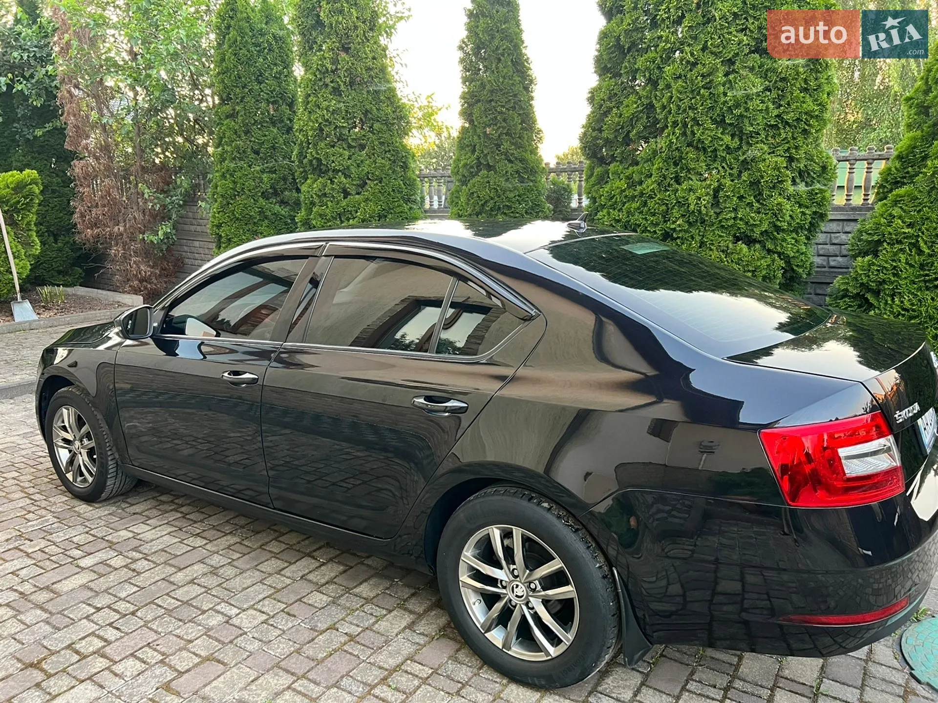 2019 Skoda Octavia - мініатюра 5