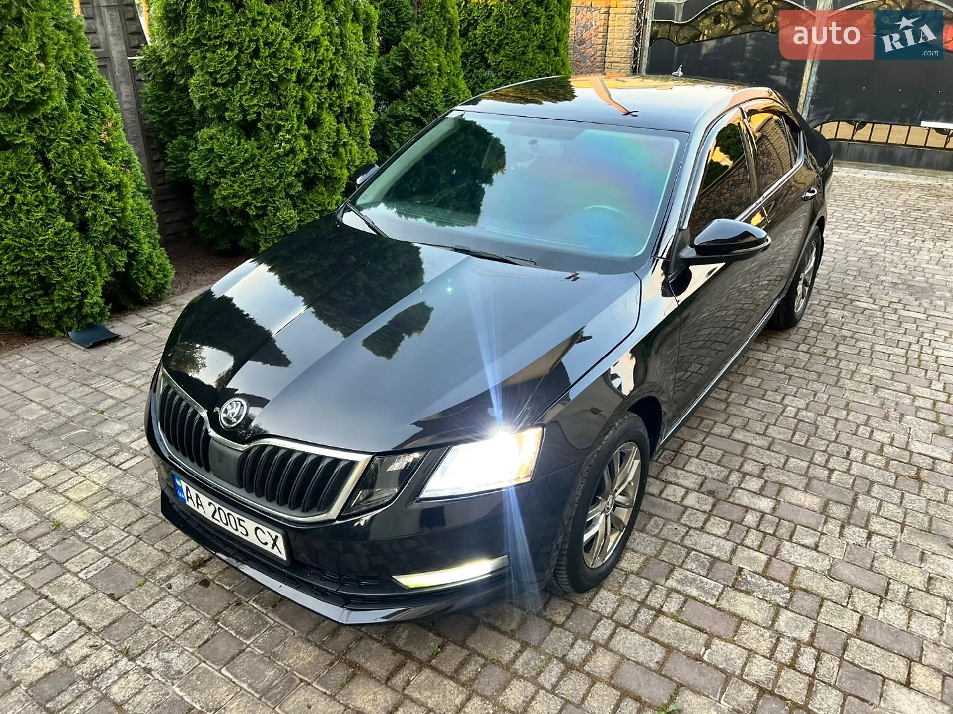 2019 Skoda Octavia - мініатюра 9