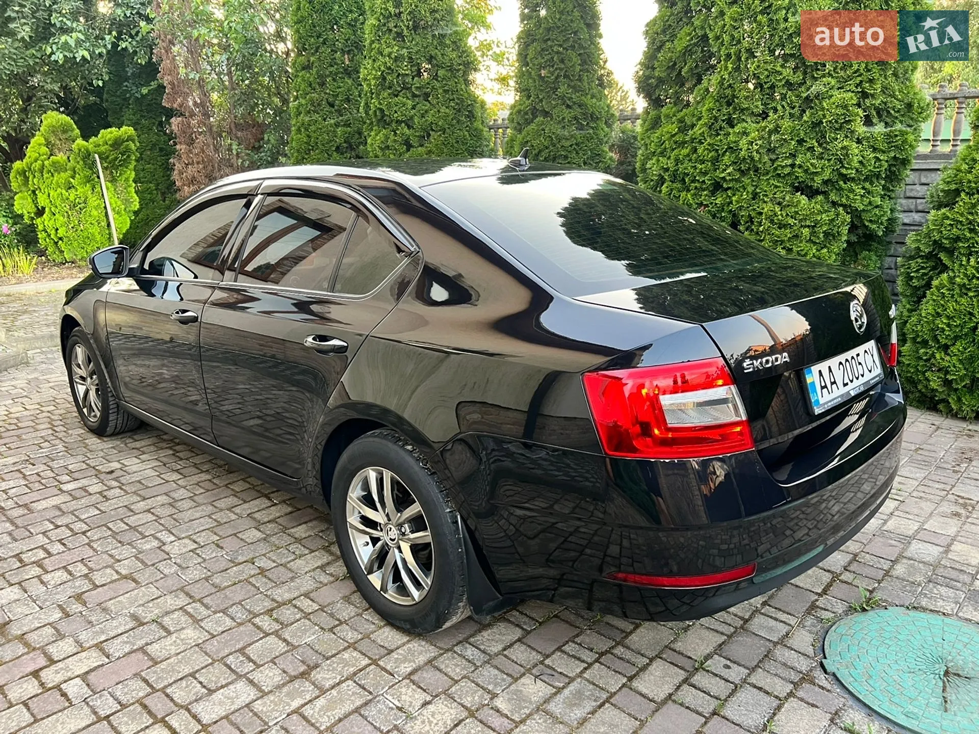 2019 Skoda Octavia - мініатюра 12