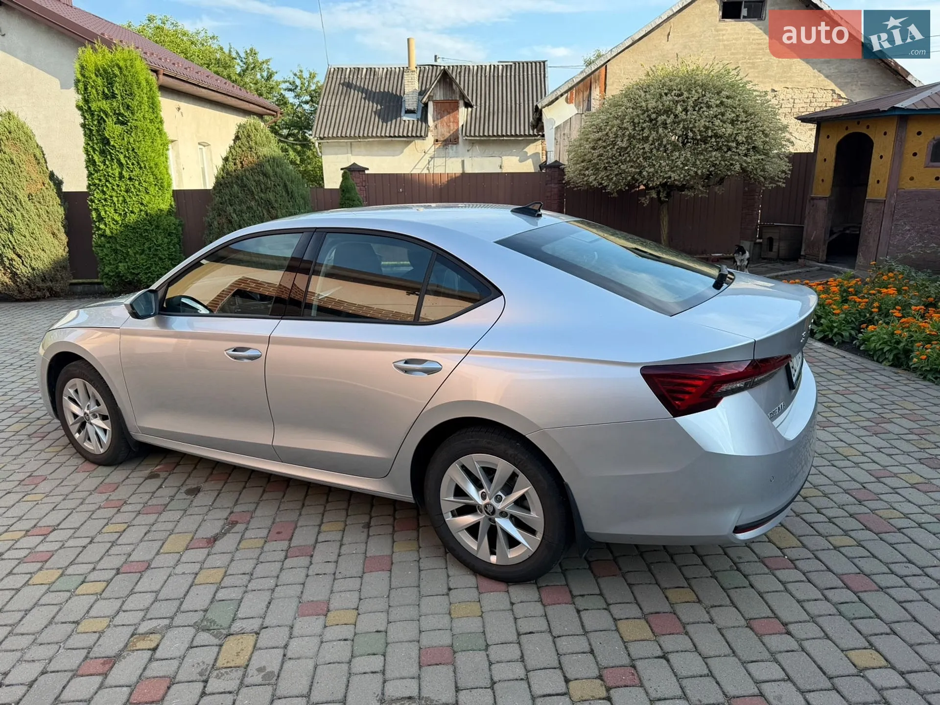 2025 Skoda Octavia - мініатюра 3