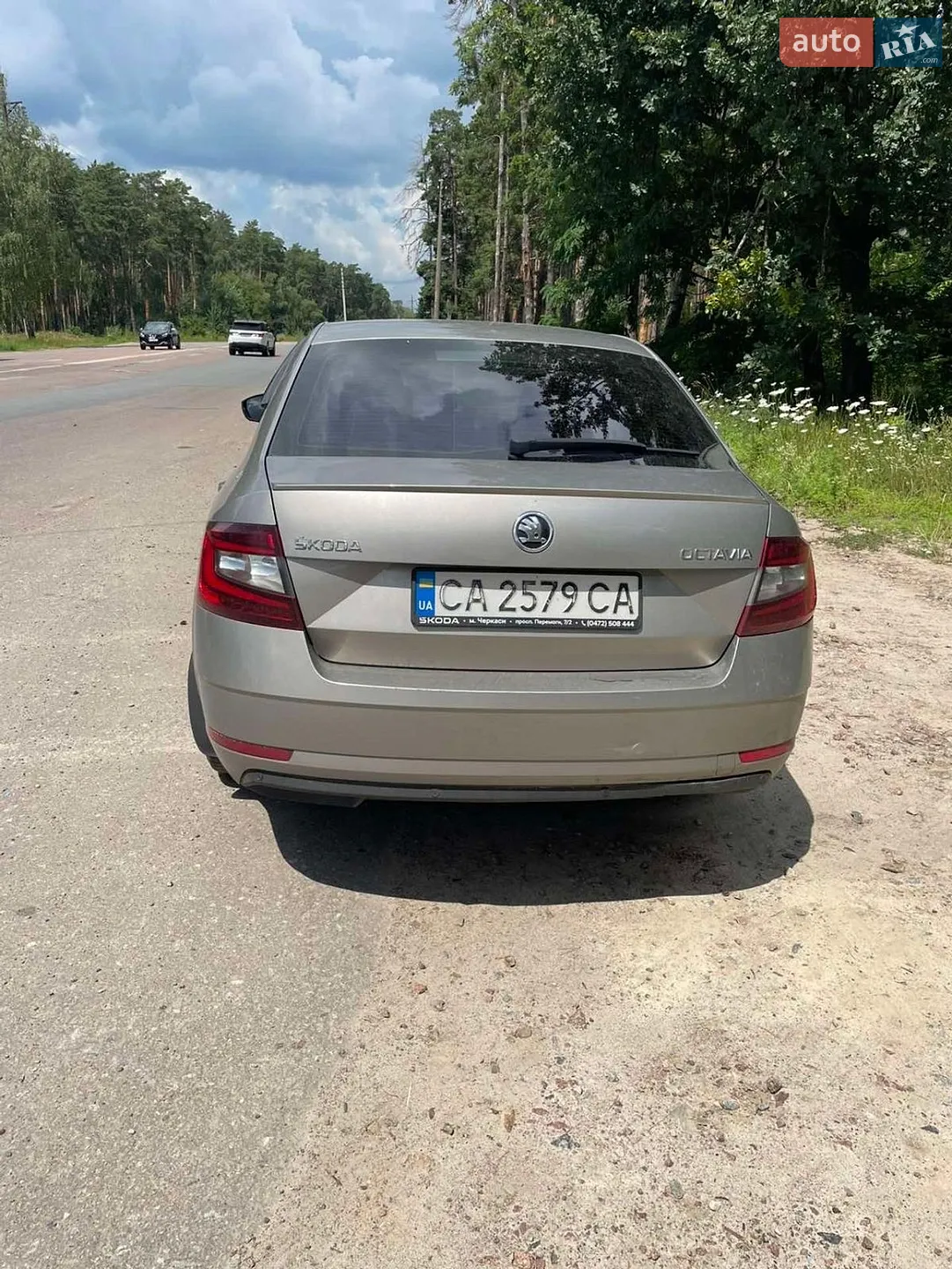 2017 Skoda Octavia - мініатюра 4
