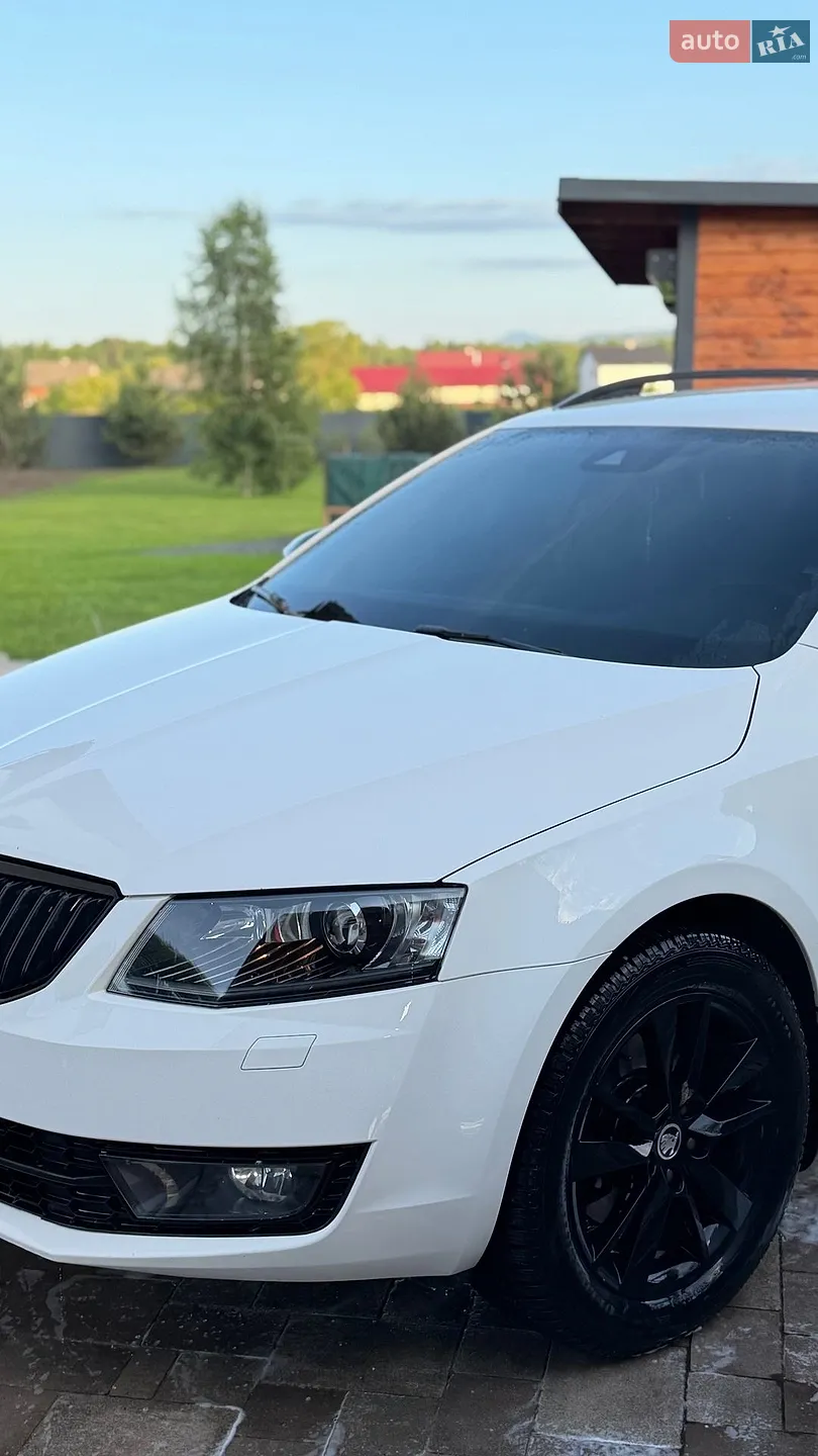 2016 Skoda Octavia - мініатюра 3