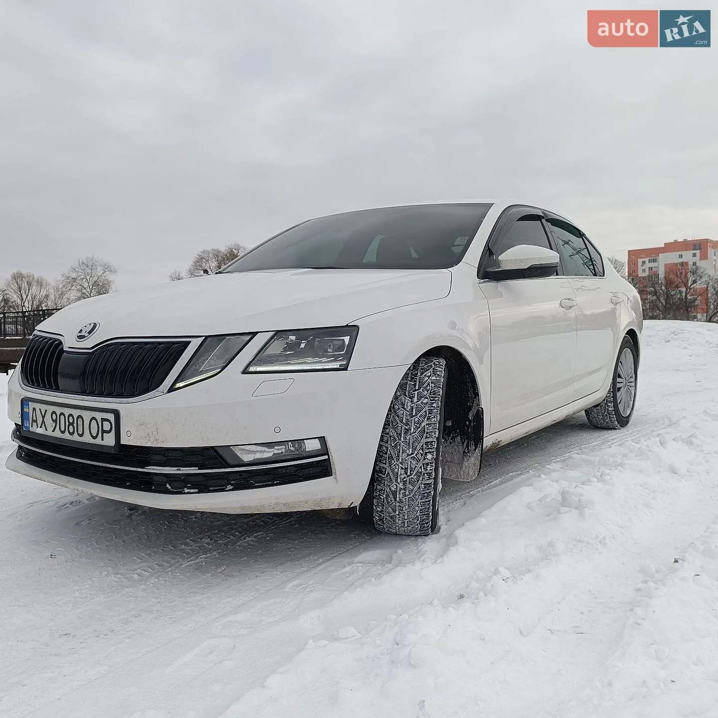 2018 Skoda Octavia - мініатюра 4