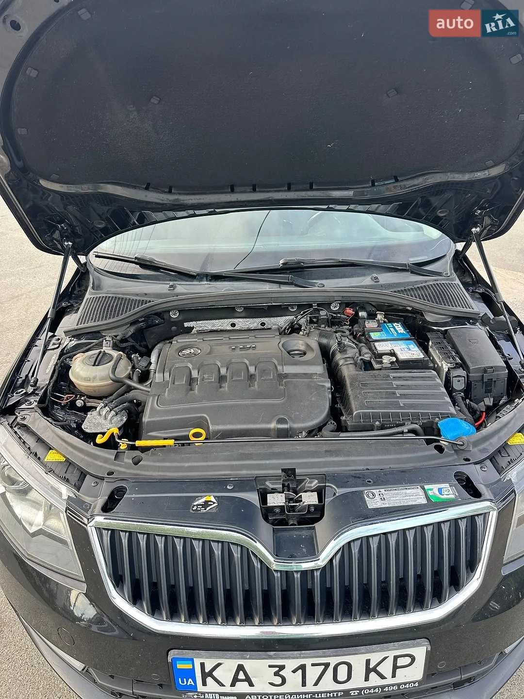 2015 Skoda Octavia - мініатюра 13