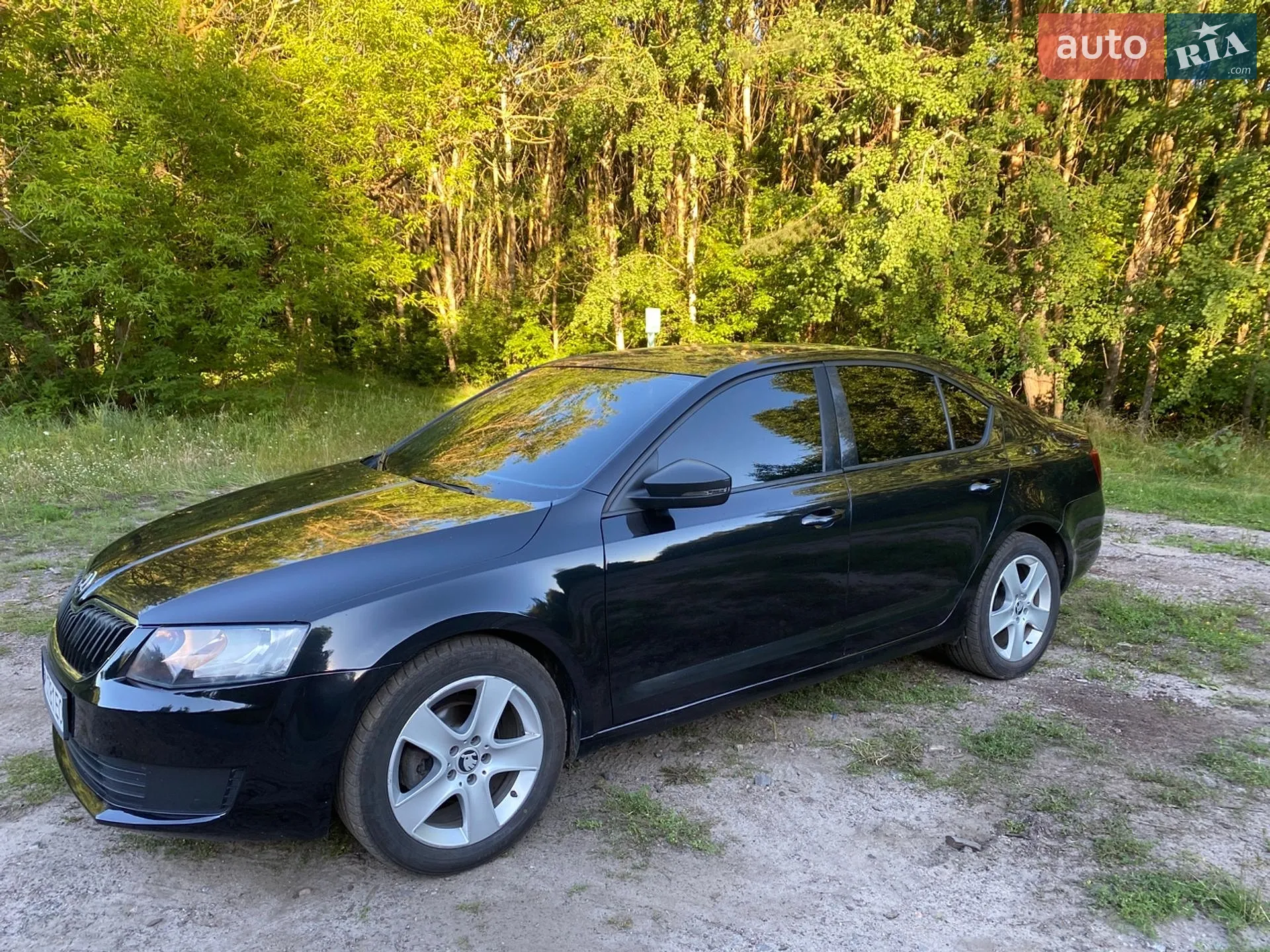 2015 Skoda Octavia - мініатюра 2