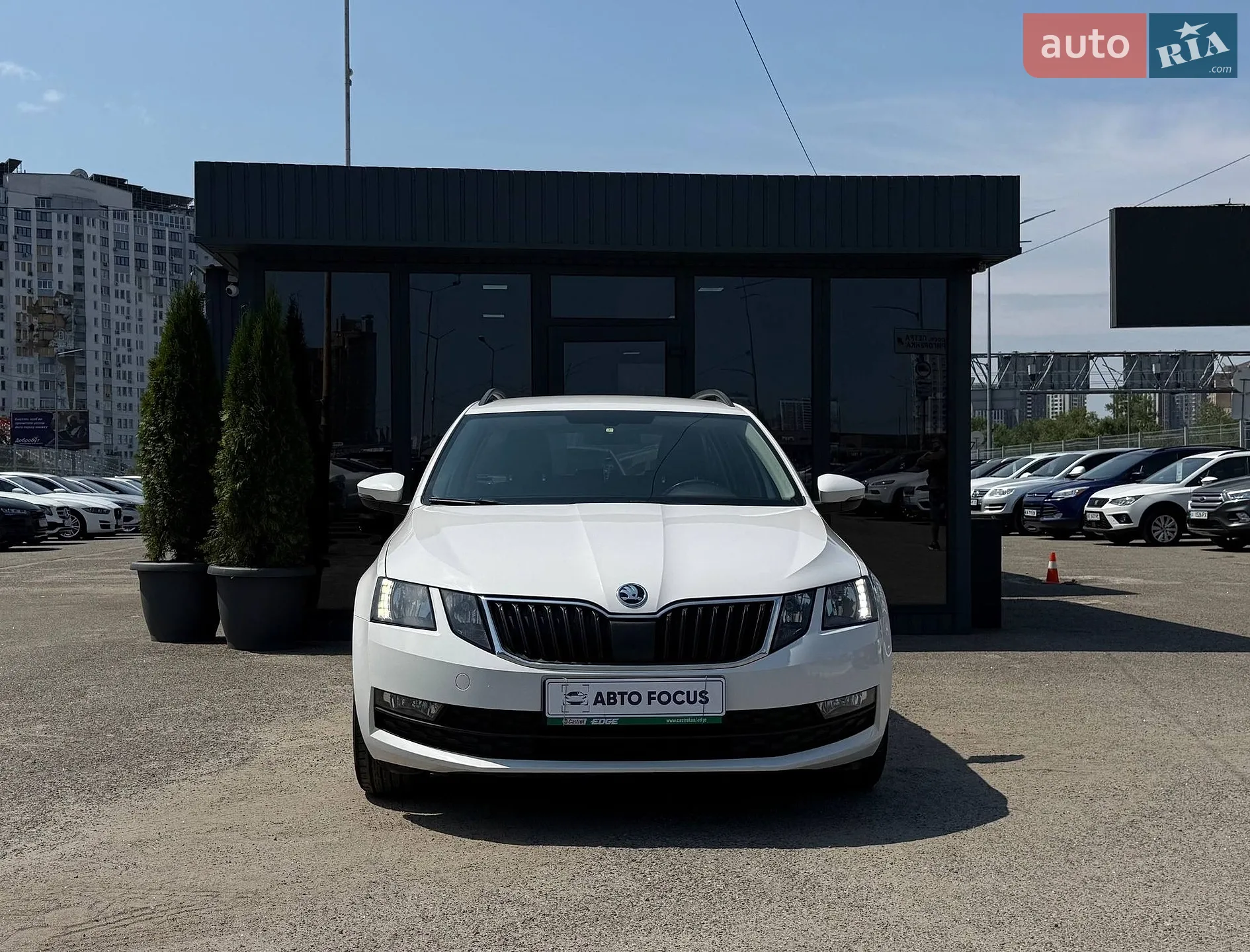2017 Skoda Octavia - мініатюра 3