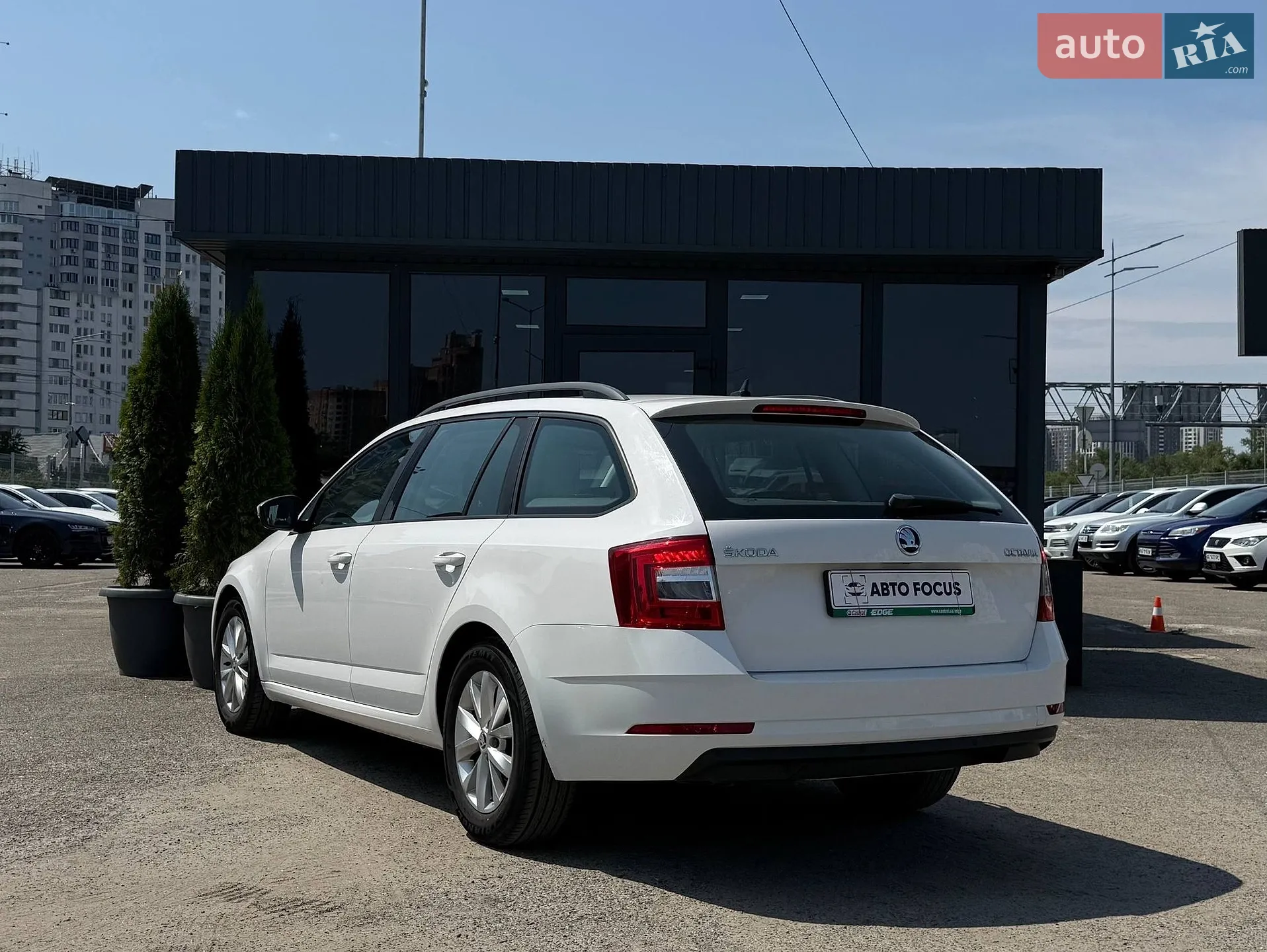 2017 Skoda Octavia - мініатюра 5