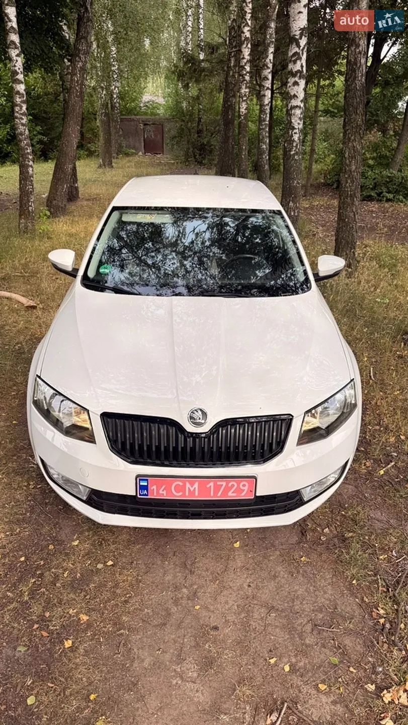 2017 Skoda Octavia - мініатюра 16