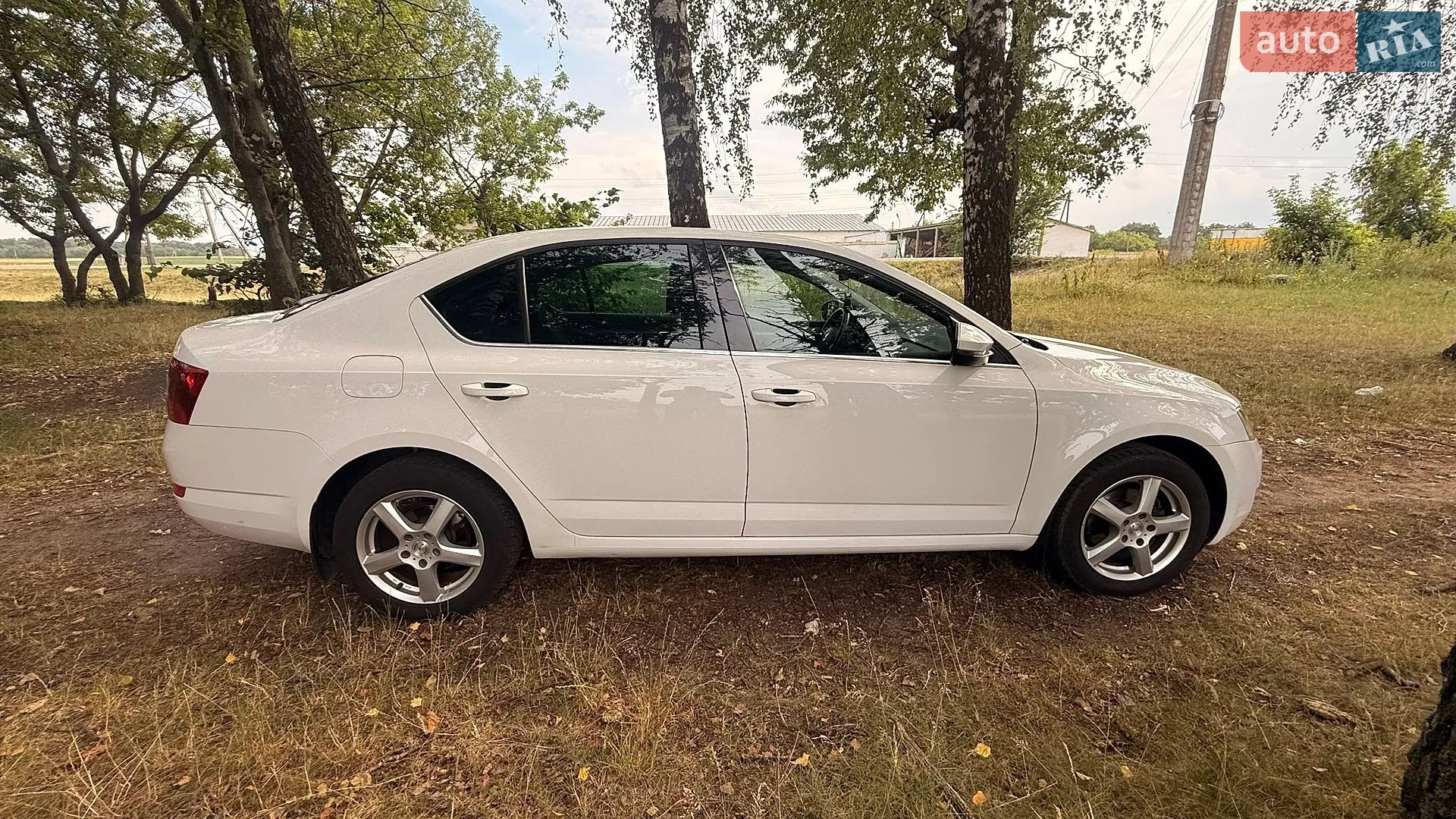 2017 Skoda Octavia - мініатюра 6
