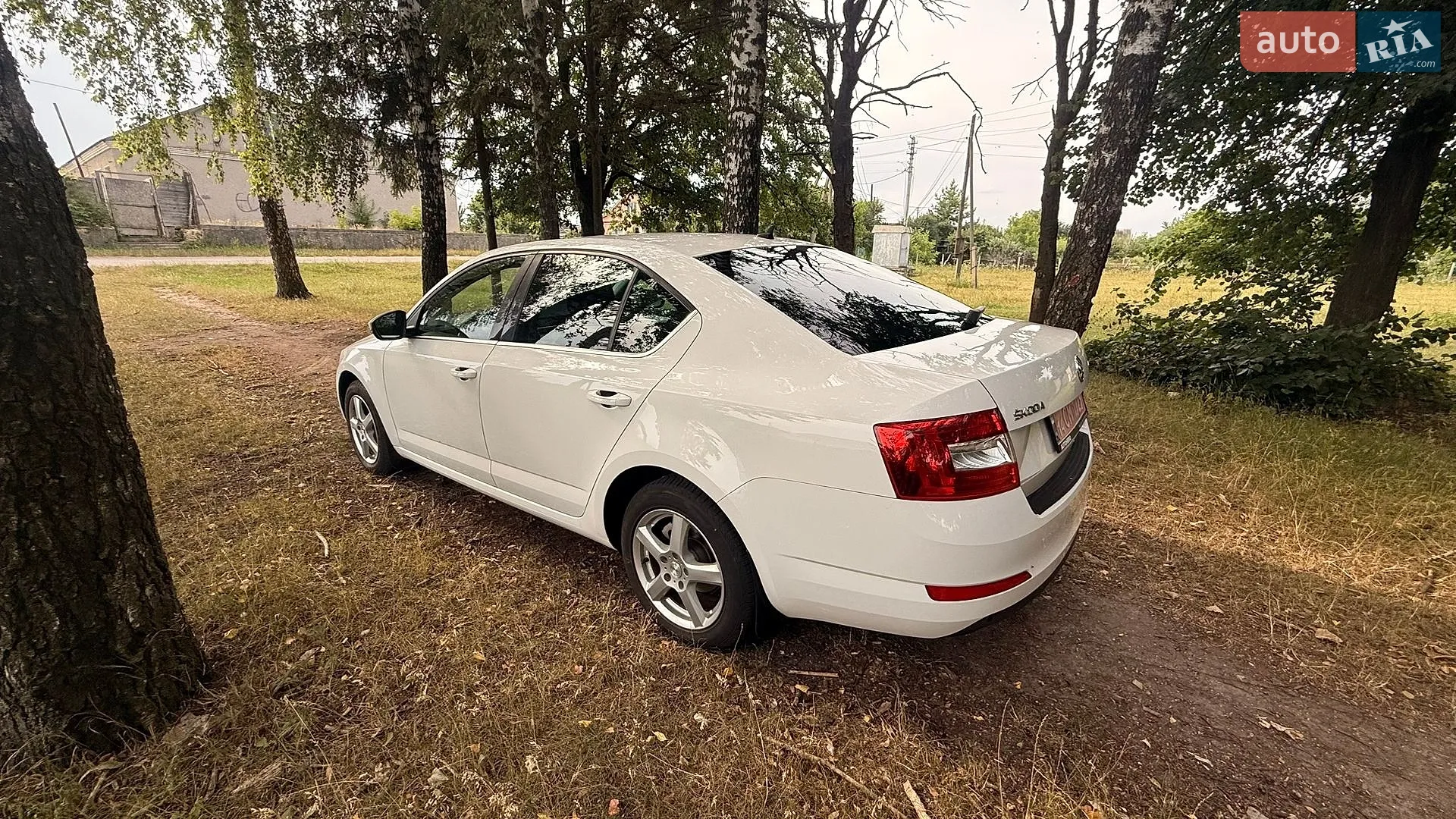 2017 Skoda Octavia - мініатюра 14
