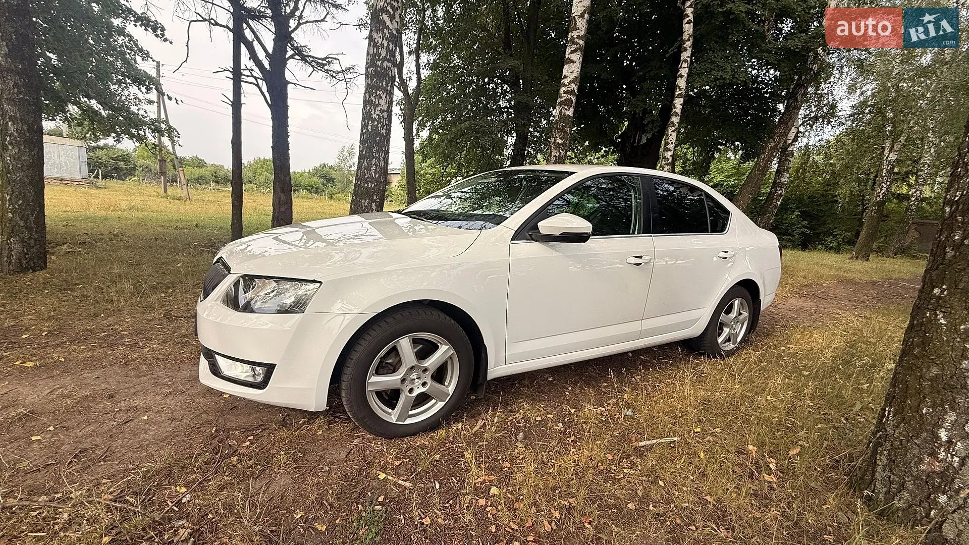 2017 Skoda Octavia - мініатюра 10