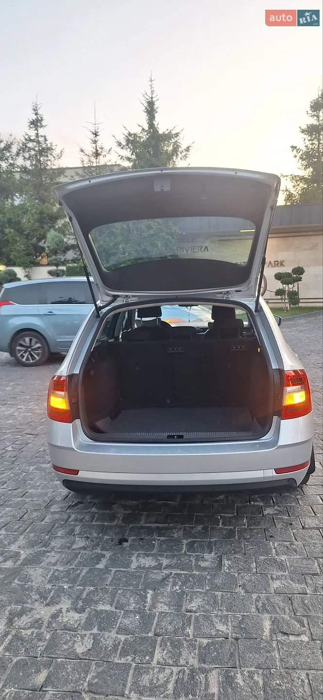 2018 Skoda Octavia - мініатюра 8