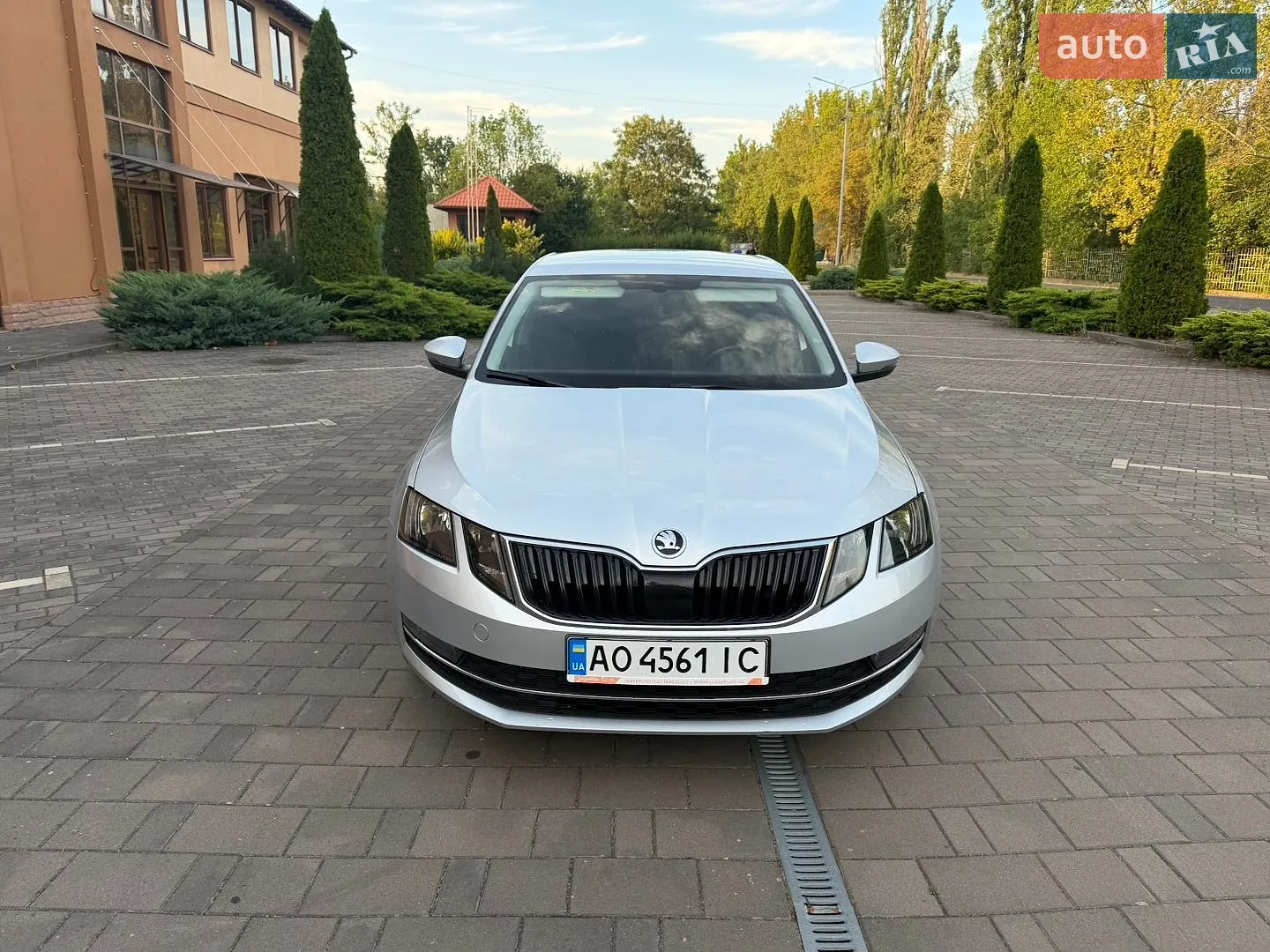 2019 Skoda Octavia - мініатюра 7