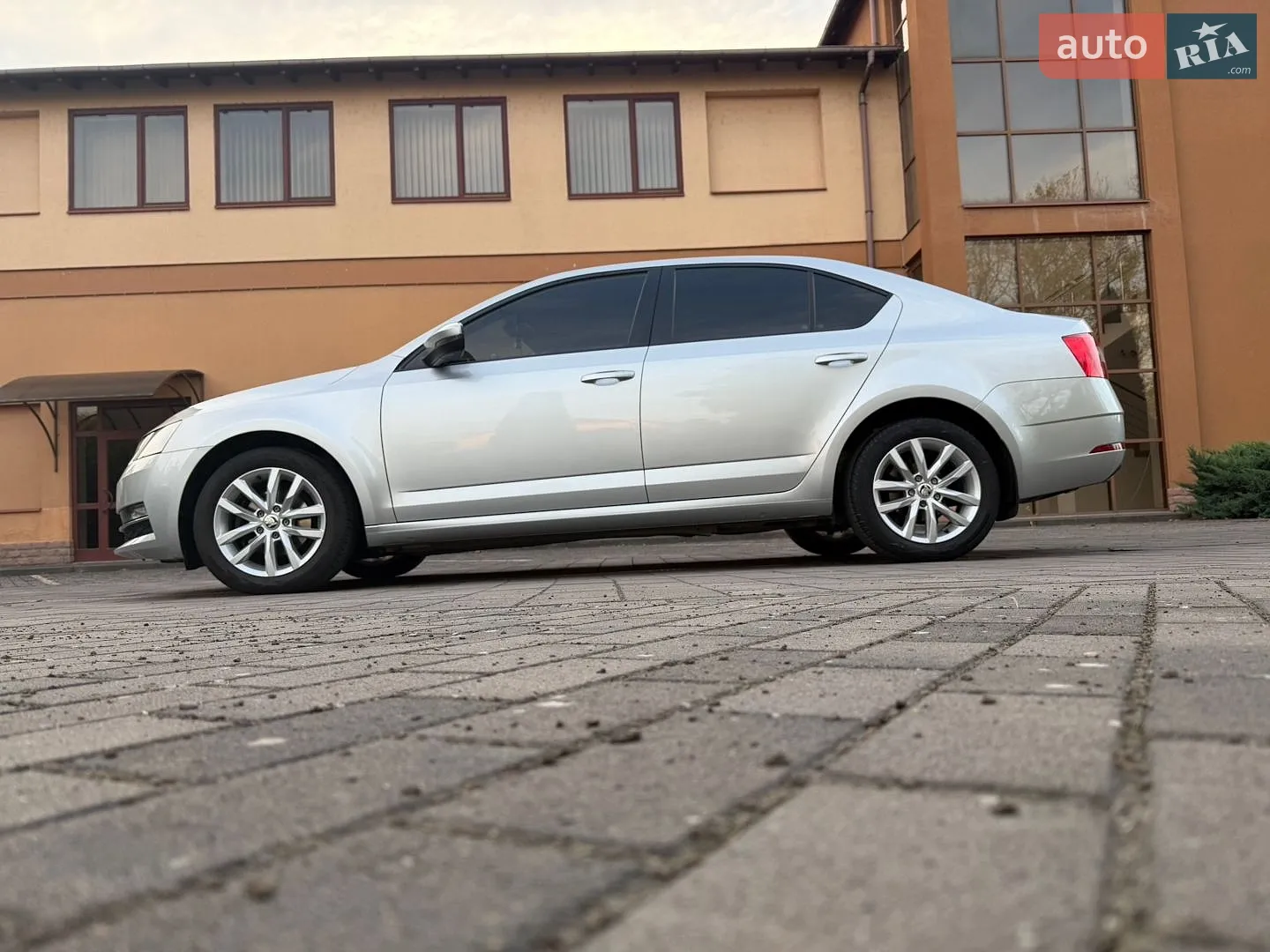 2019 Skoda Octavia - мініатюра 3