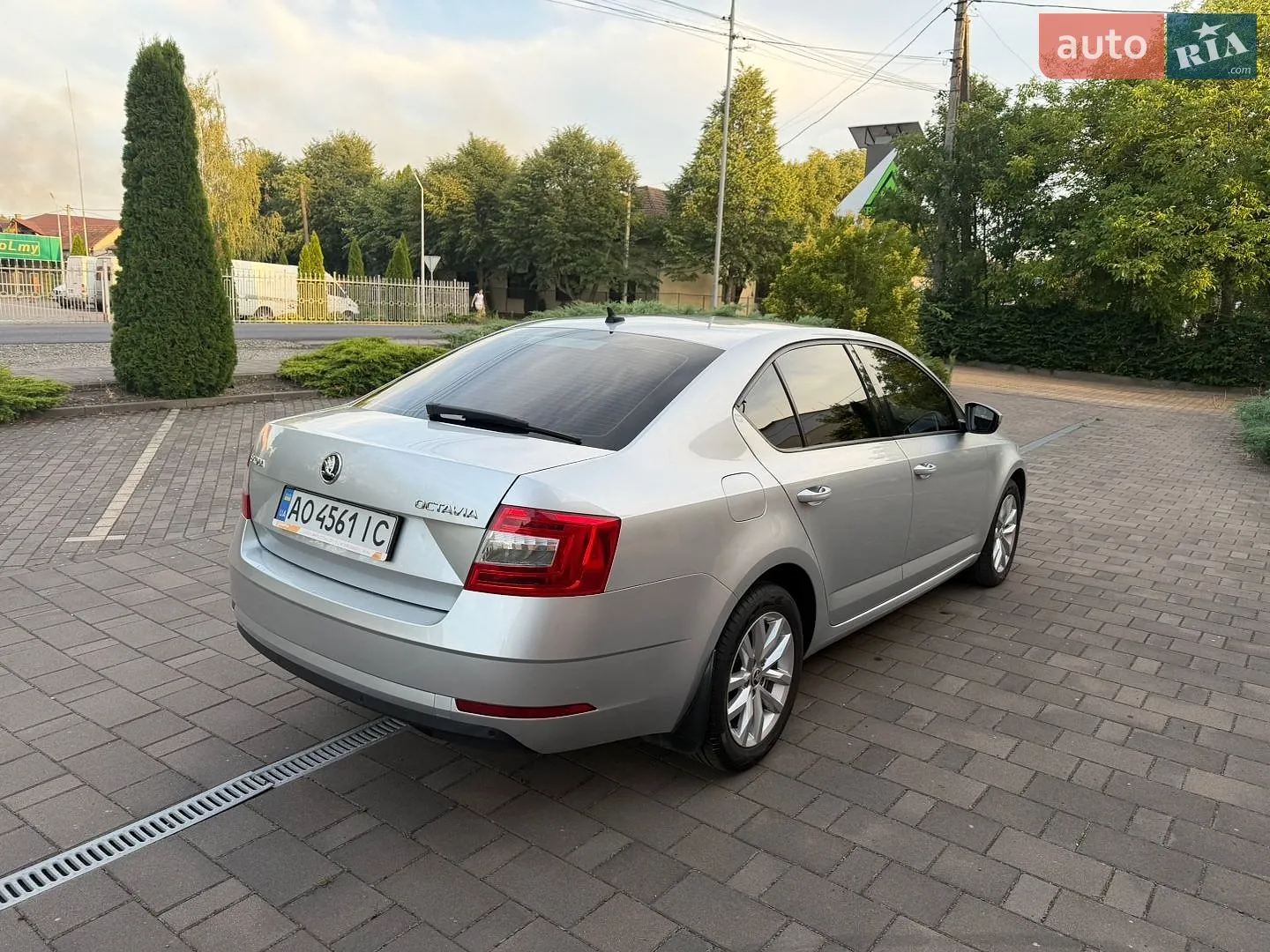 2019 Skoda Octavia - мініатюра 5
