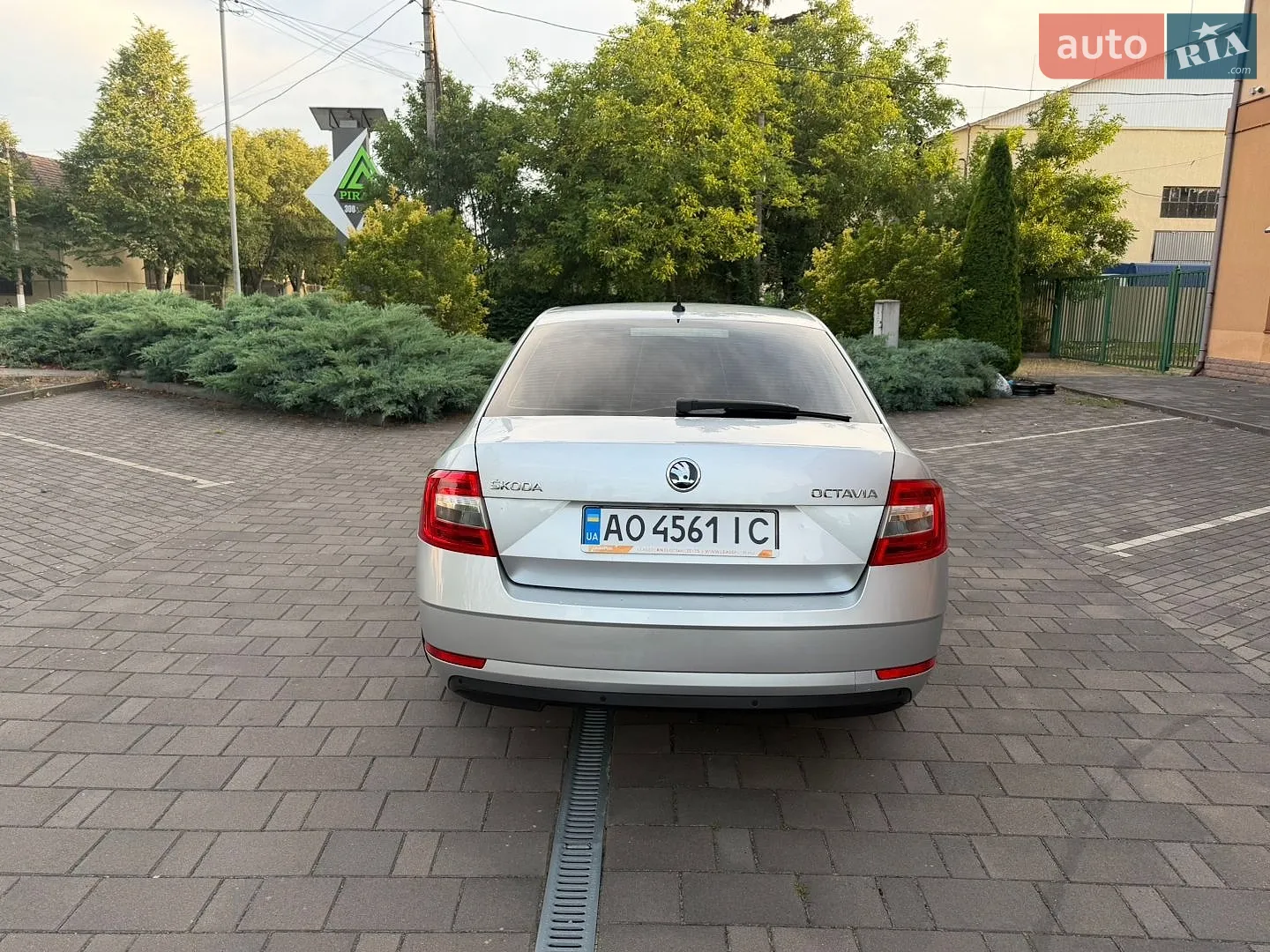 2019 Skoda Octavia - мініатюра 6