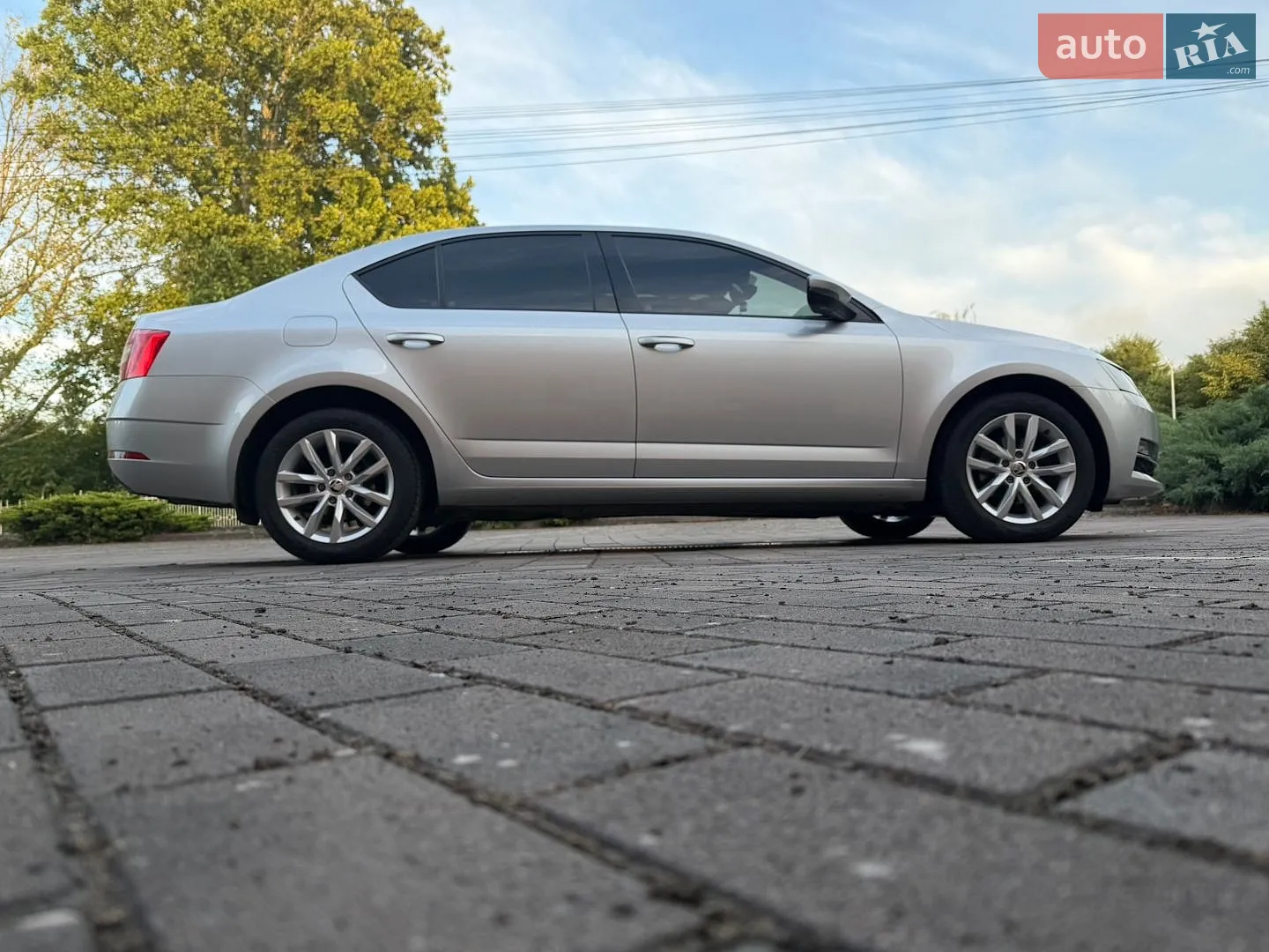2019 Skoda Octavia - мініатюра 10