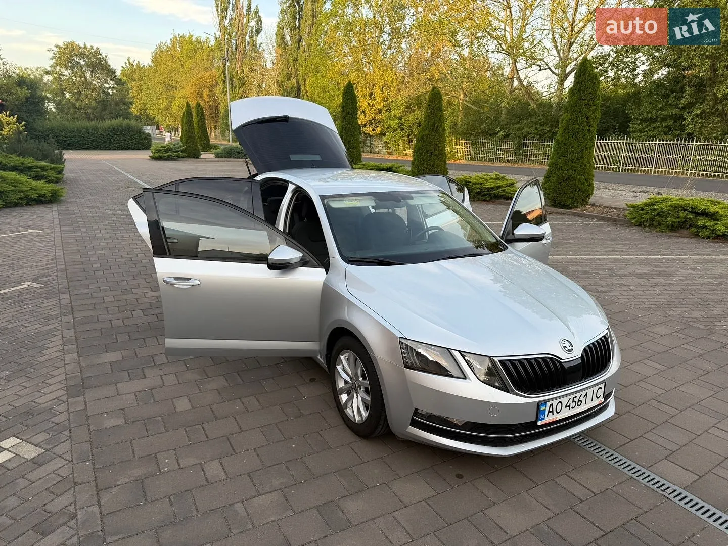 2019 Skoda Octavia - мініатюра 13