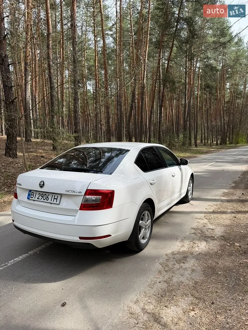 2019 Skoda Octavia - мініатюра 5