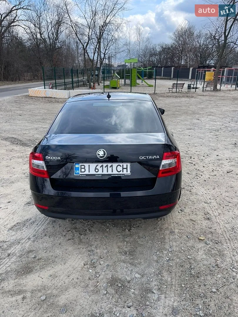 2020 Skoda Octavia - мініатюра 6