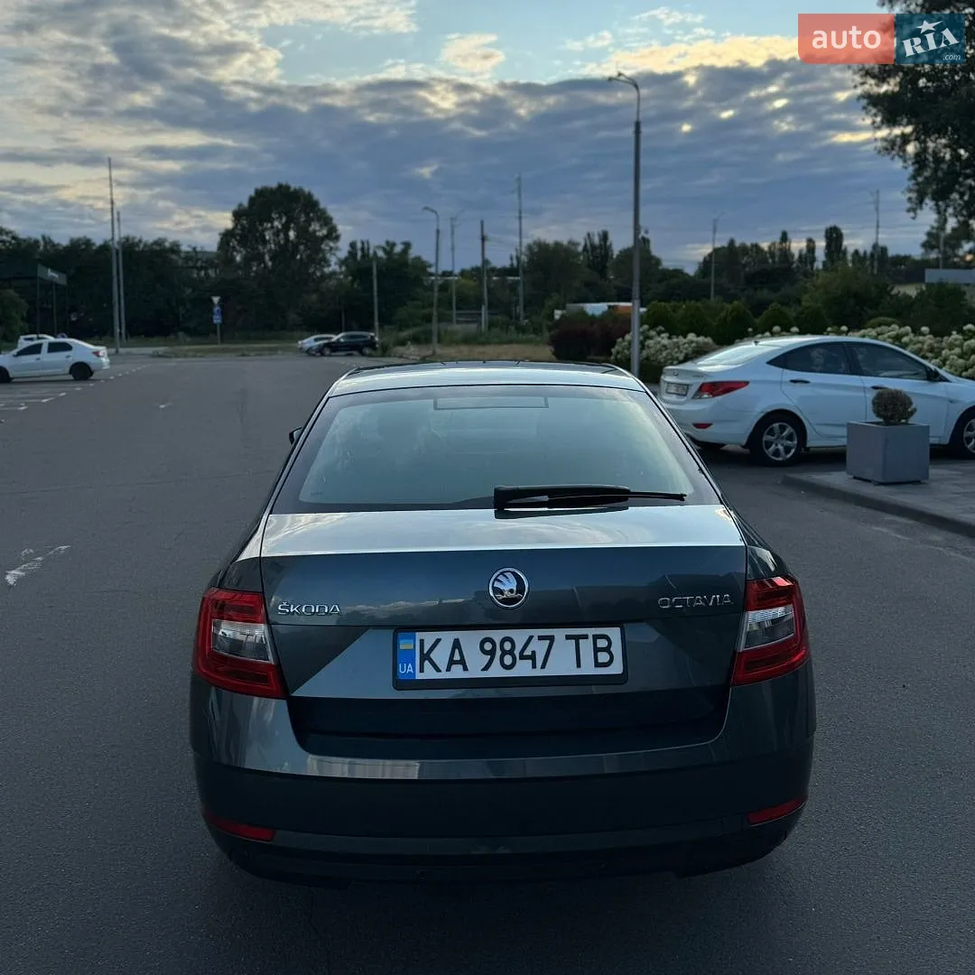 2018 Skoda Octavia - мініатюра 10