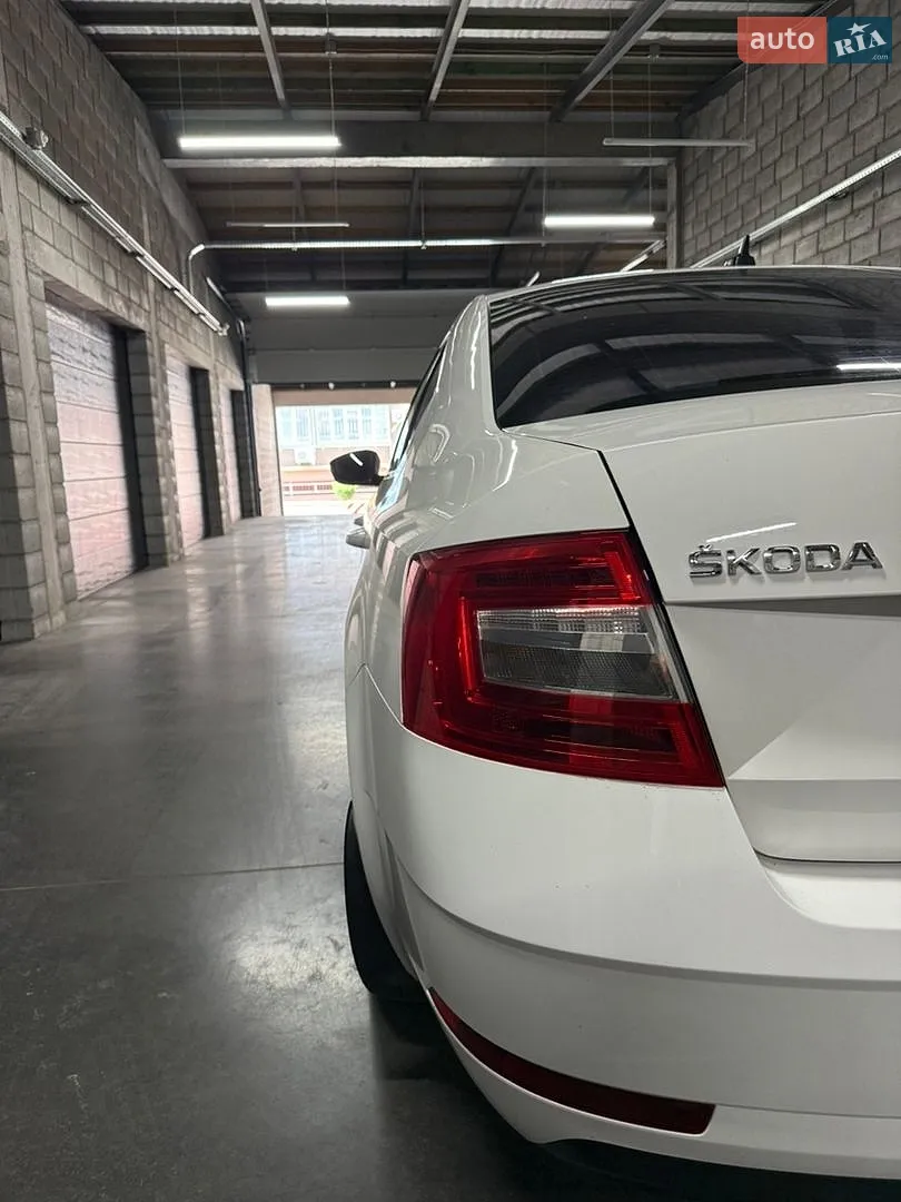 2019 Skoda Octavia - мініатюра 21