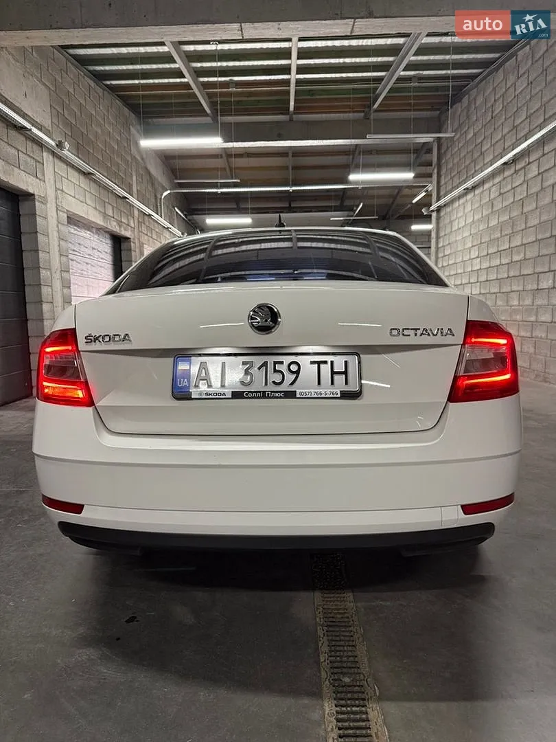 2019 Skoda Octavia - мініатюра 7