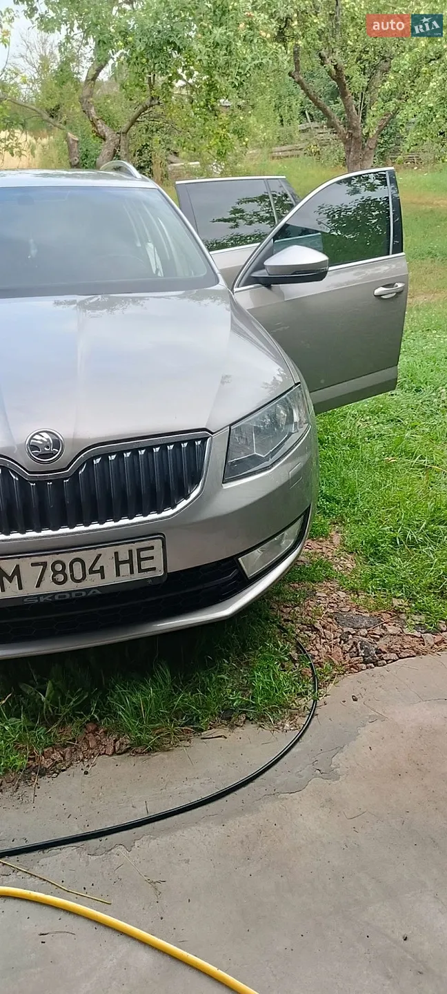 2014 Skoda Octavia - мініатюра 4
