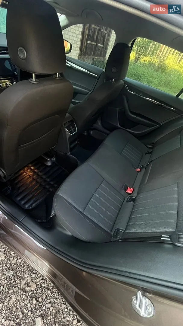 2019 Skoda Octavia - мініатюра 13