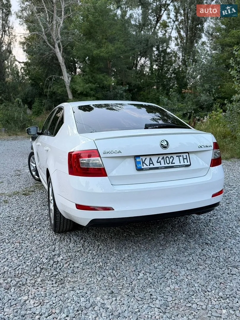 2013 Skoda Octavia - мініатюра 3