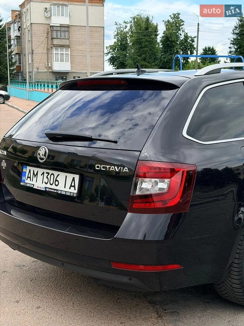 2019 Skoda Octavia - мініатюра 15