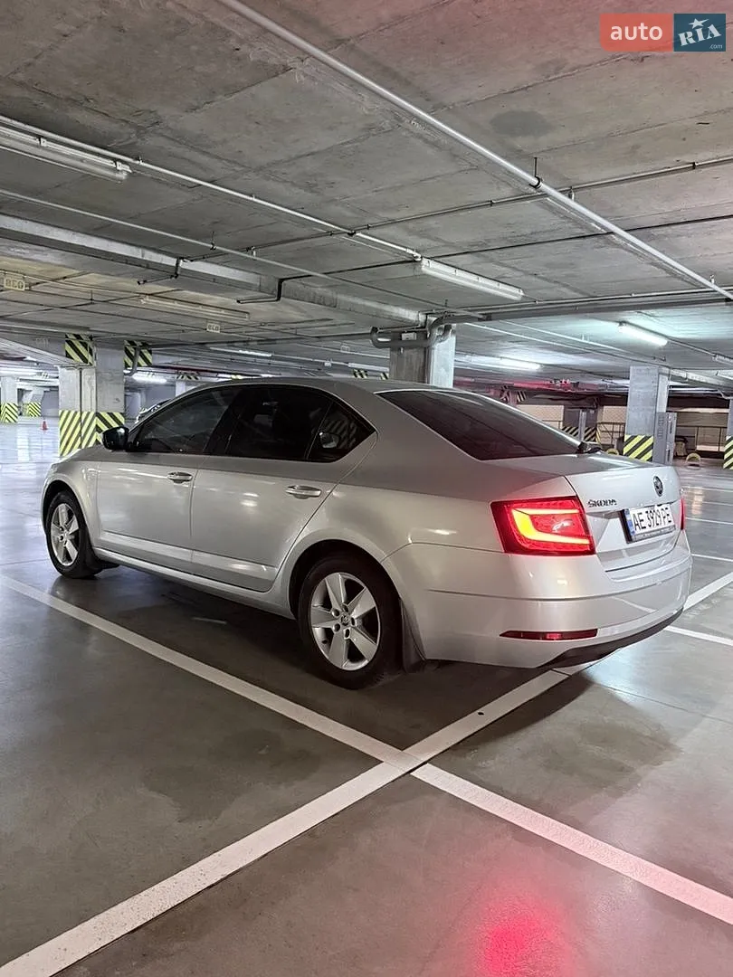2017 Skoda Octavia - мініатюра 6