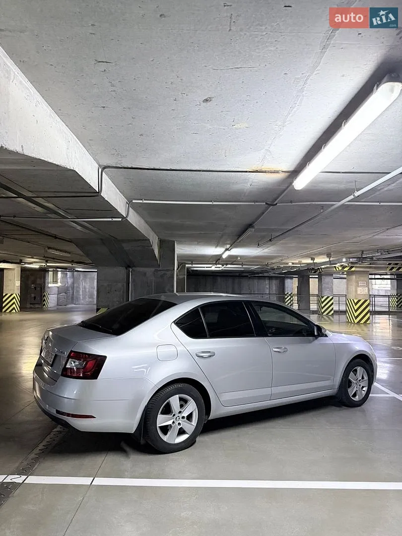 2017 Skoda Octavia - мініатюра 20