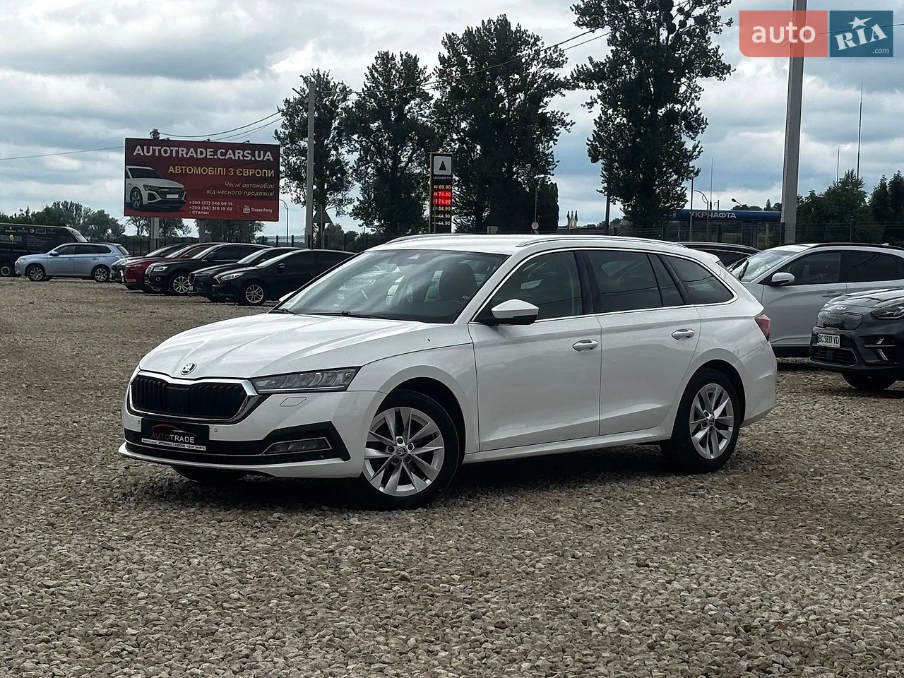 2023 Skoda Octavia - мініатюра 39