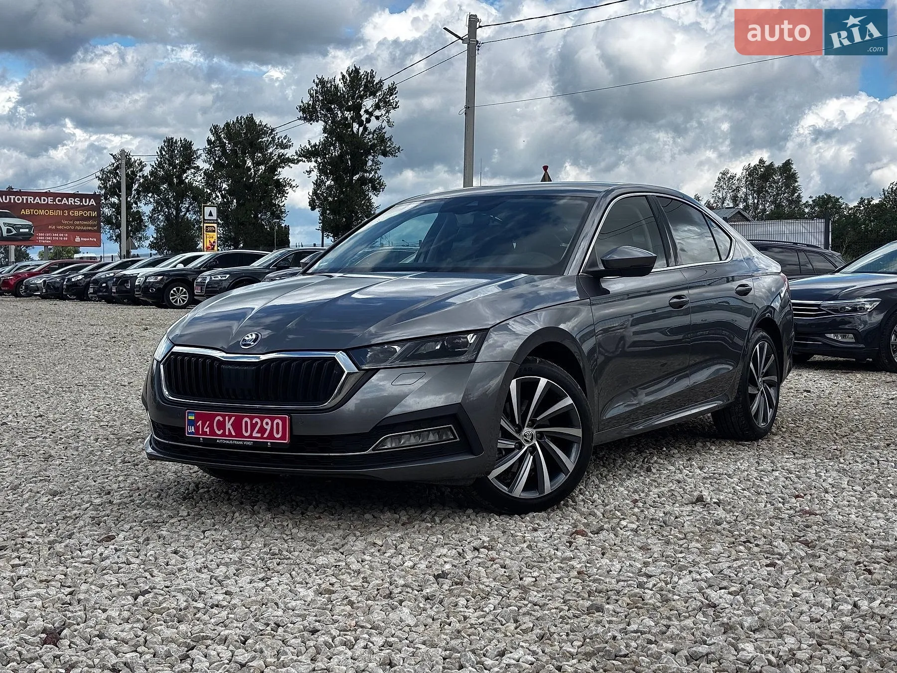 2023 Skoda Octavia - мініатюра 3