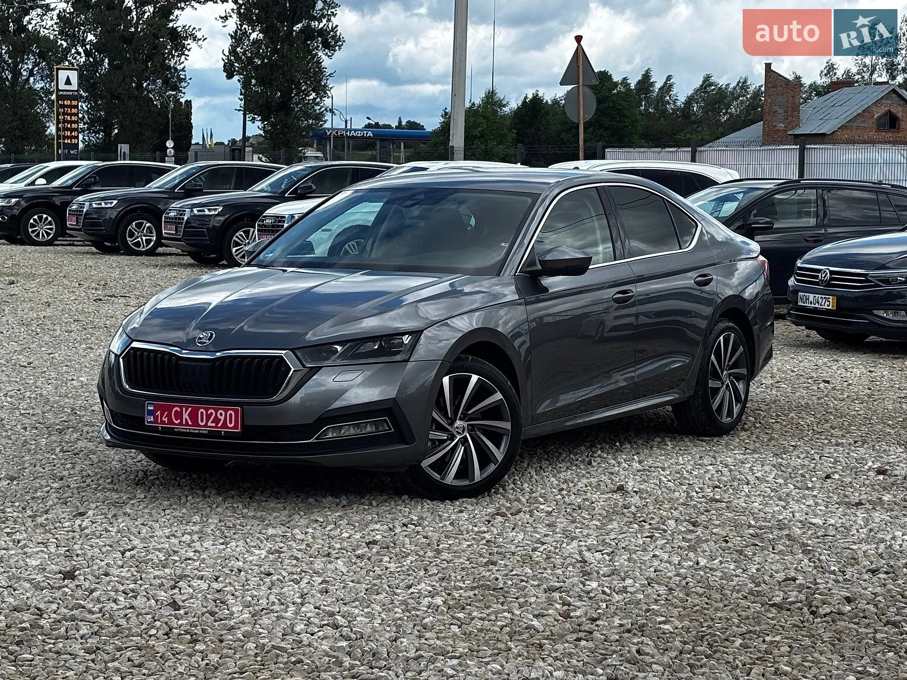 2023 Skoda Octavia - фото 1
