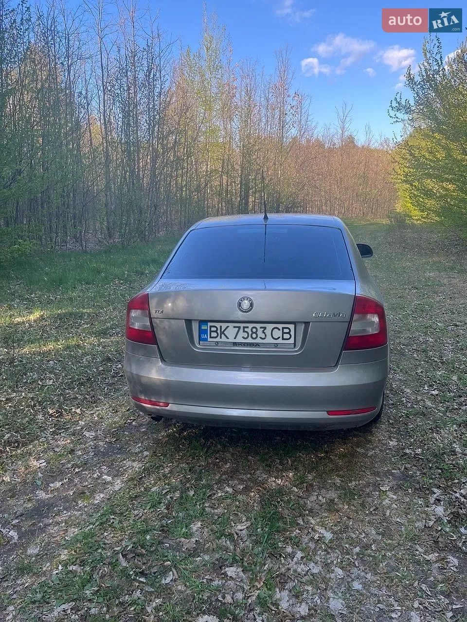 2010 Skoda Octavia - мініатюра 6