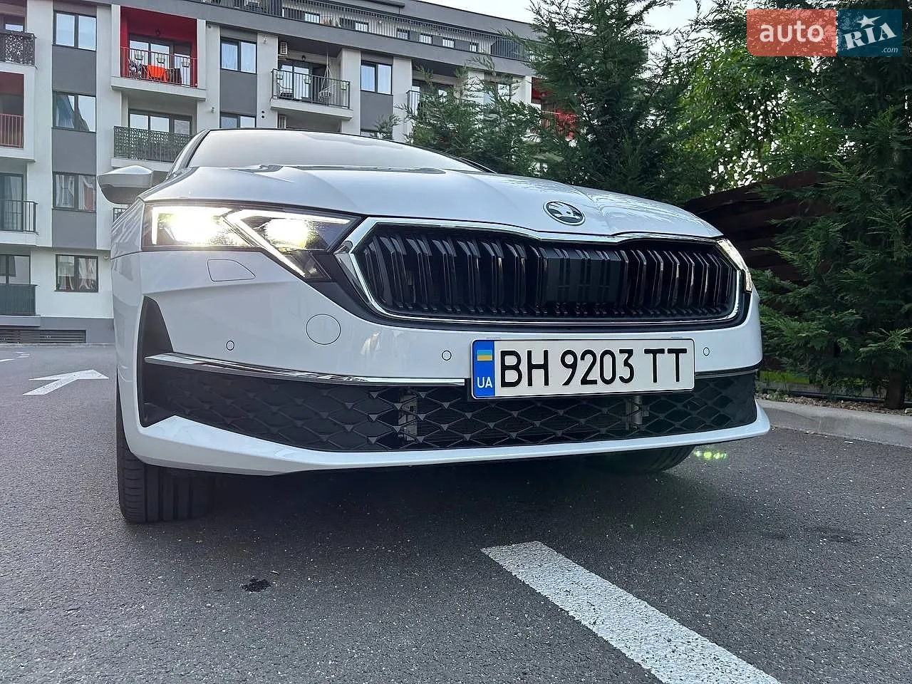 2024 Skoda Octavia - фото 1
