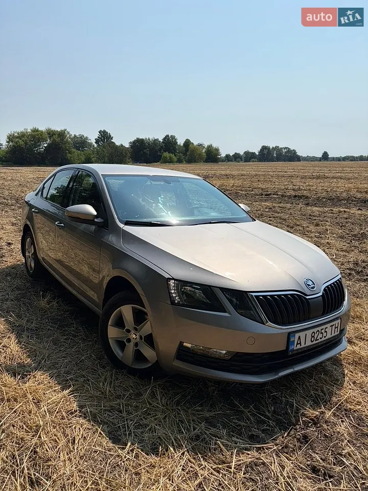 2017 Skoda Octavia - мініатюра 15