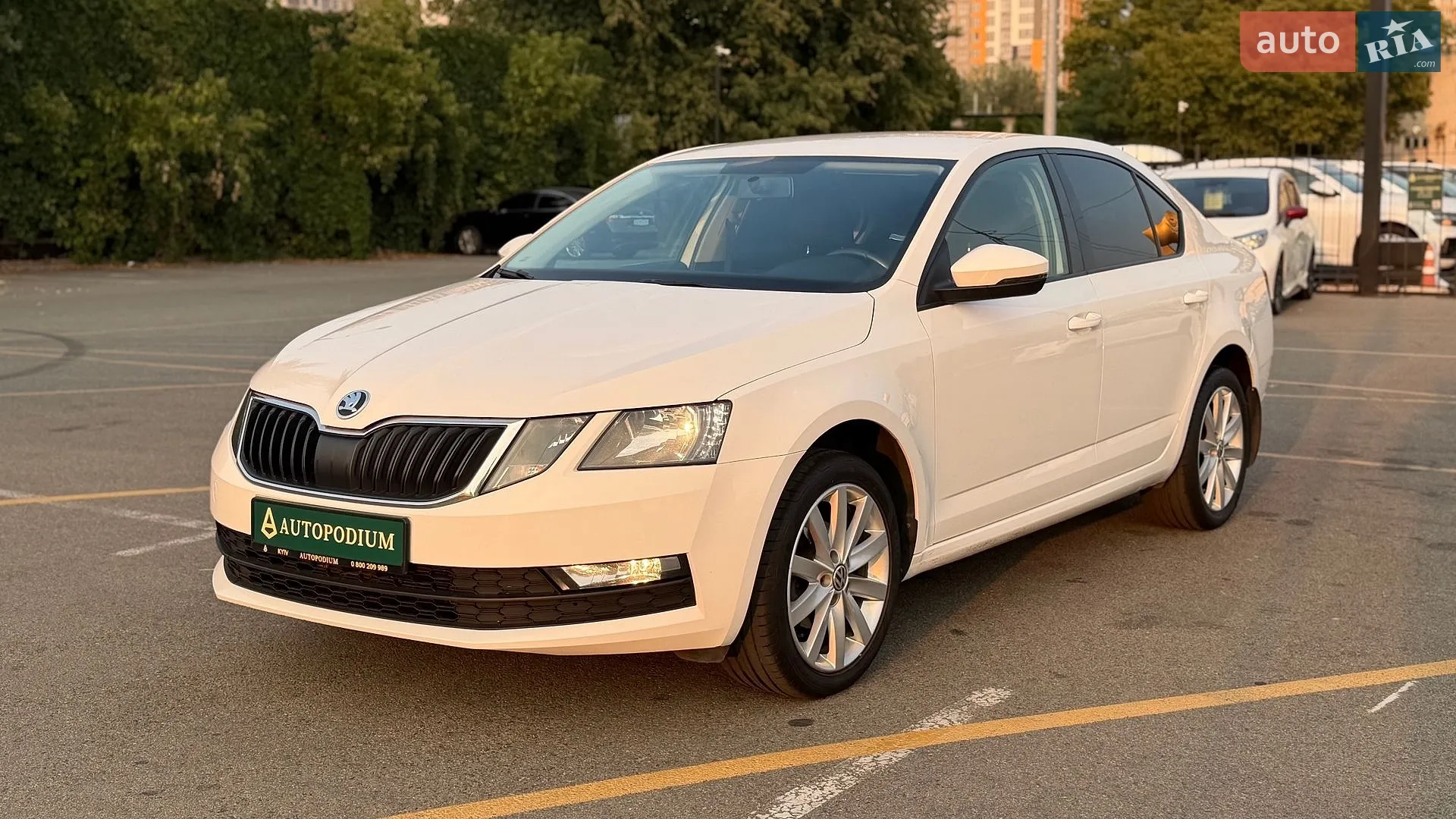 2019 Skoda Octavia - мініатюра 4
