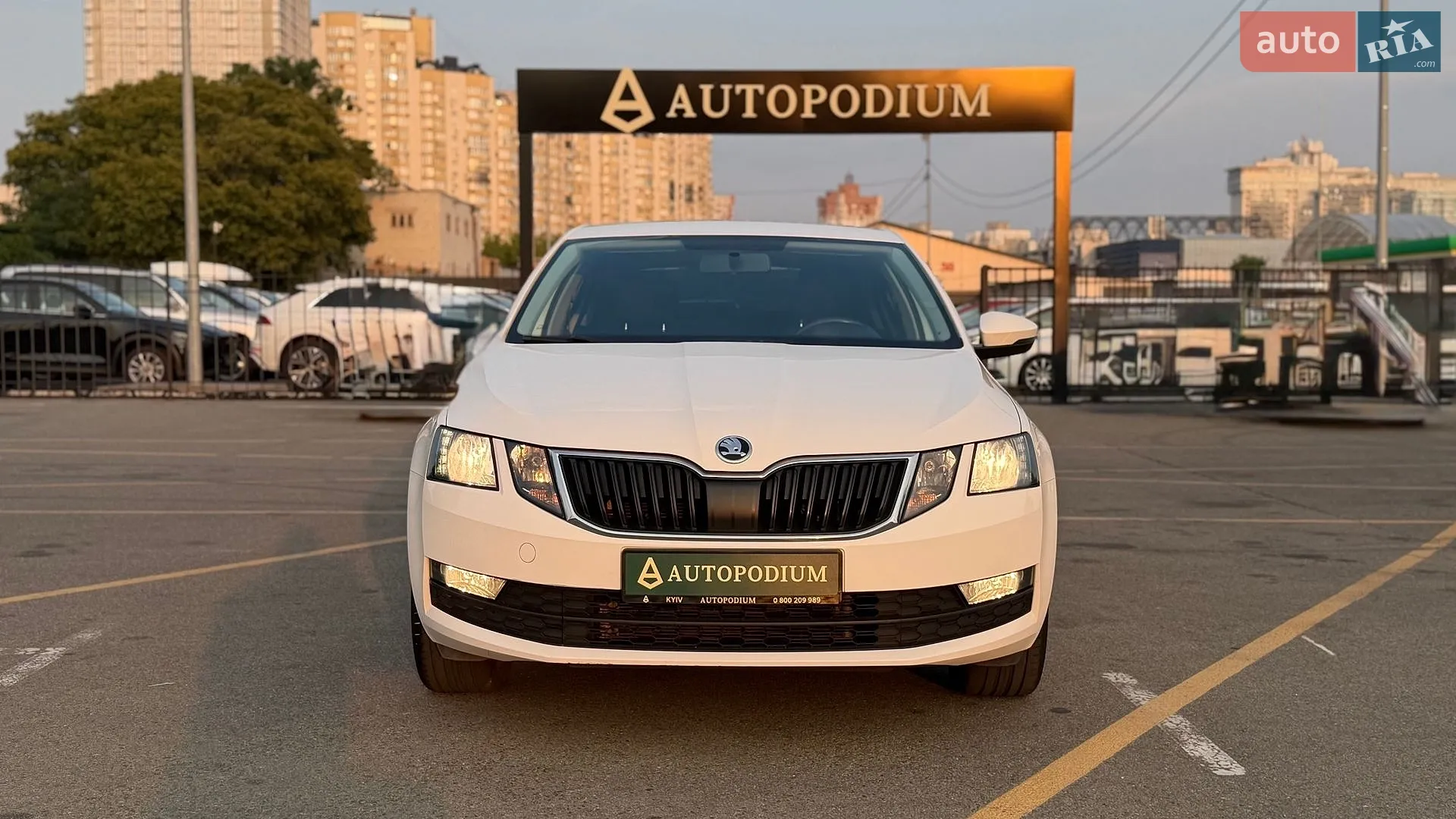2019 Skoda Octavia - мініатюра 3