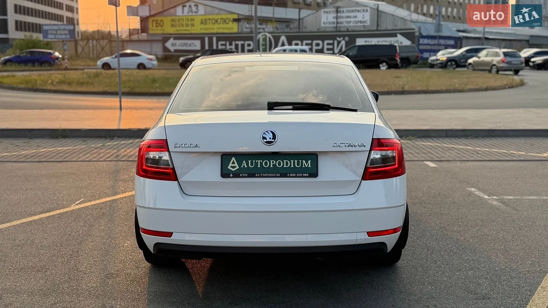 2019 Skoda Octavia - мініатюра 7