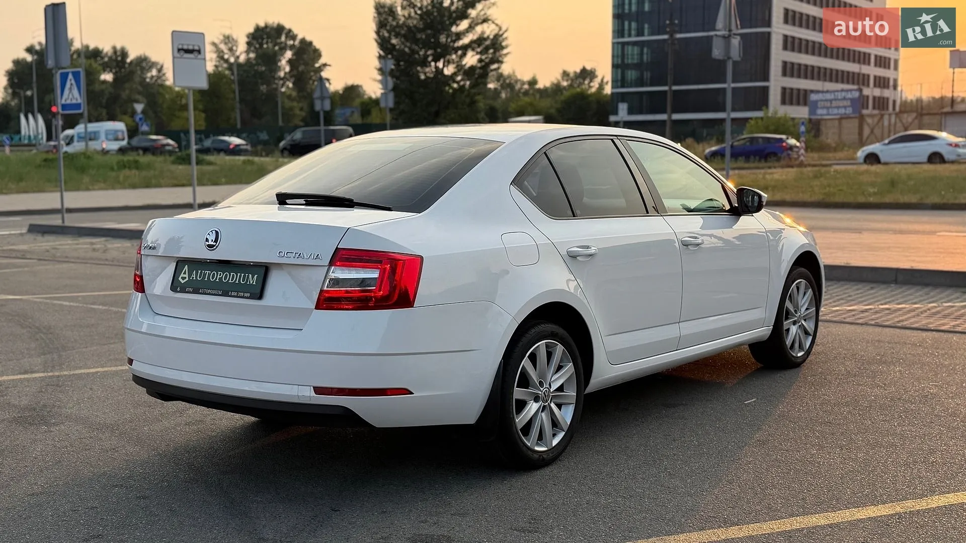 2019 Skoda Octavia - мініатюра 8