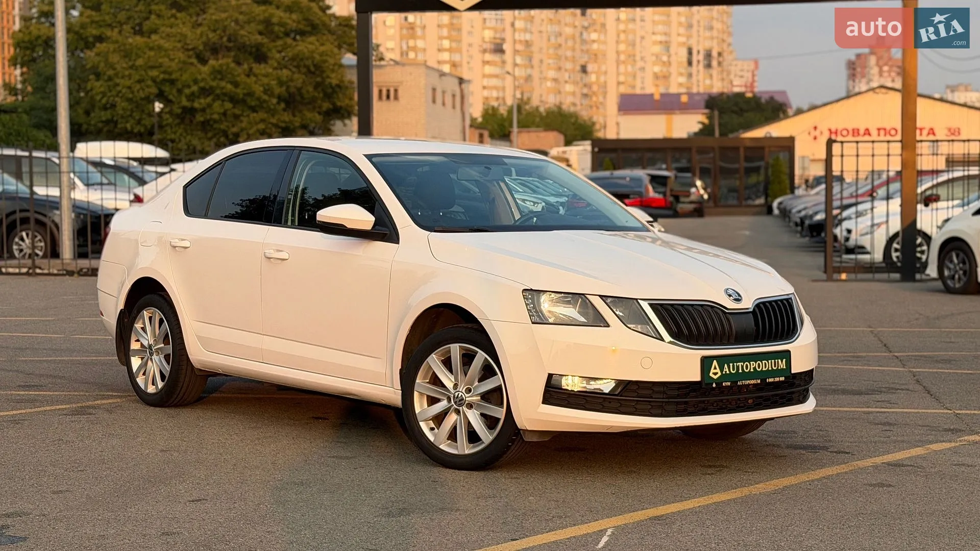 2019 Skoda Octavia - мініатюра 10