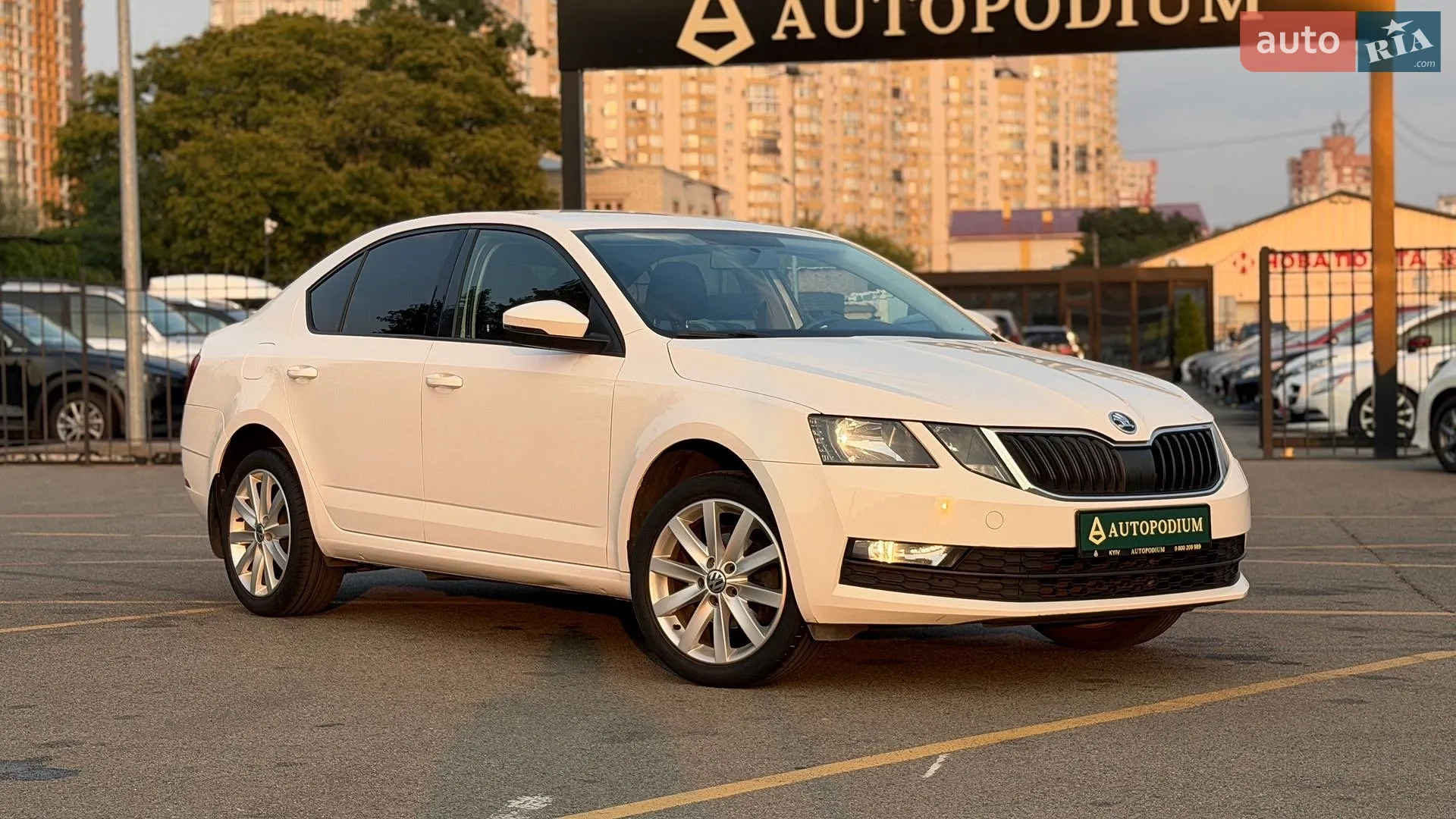 2019 Skoda Octavia - мініатюра 11